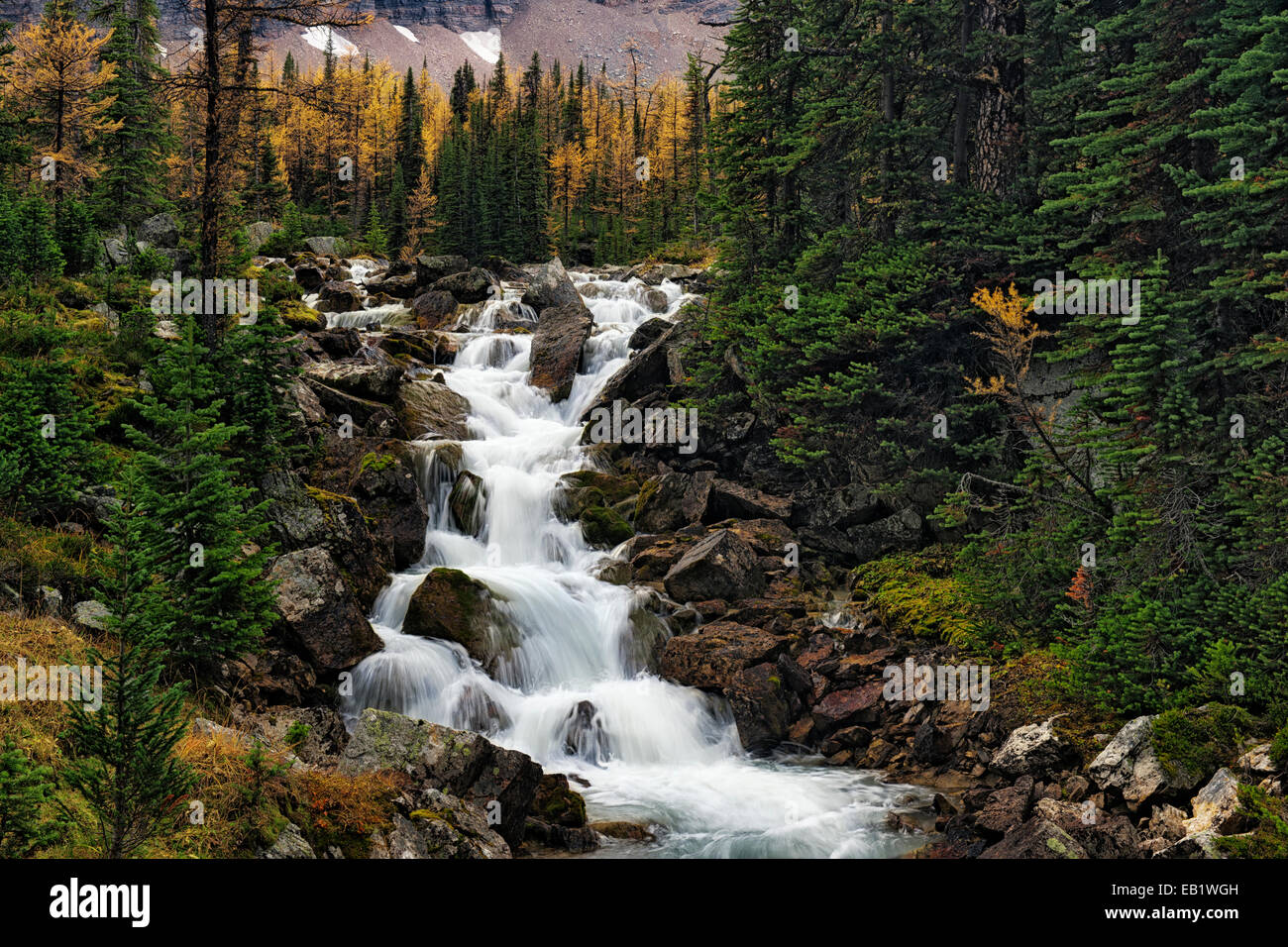 Rushing stream flows from the Opabin Plateau in British Columbia's