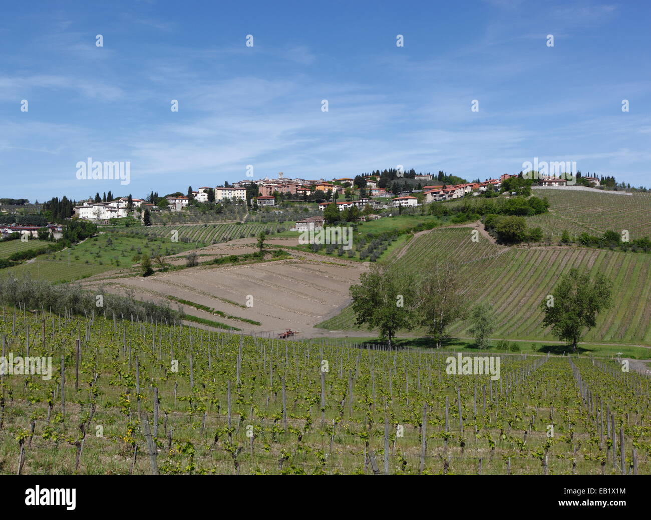 Vineyards surrounding Radda in Chianti, Tuscany, Italy Stock Photo