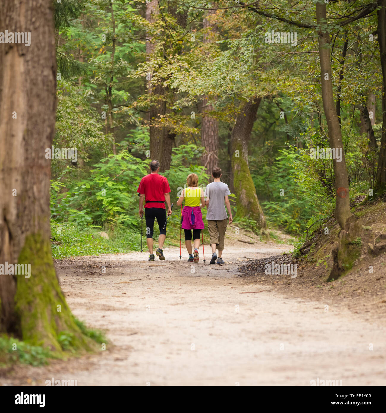 Family walking in the woods Stock Photo