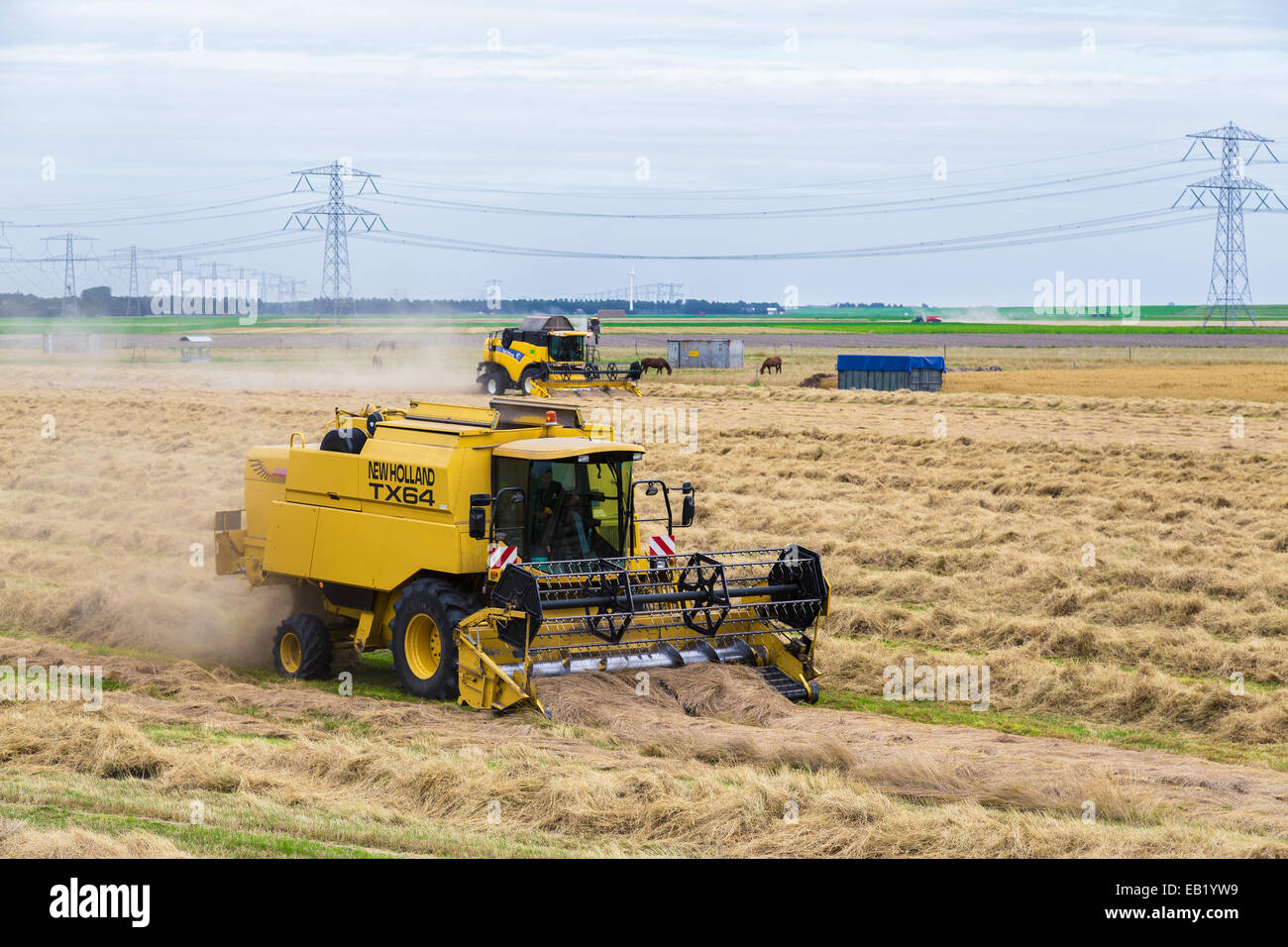 Dutch farmers with agricultural machinery busy with harvesting a wheat field Stock Photo