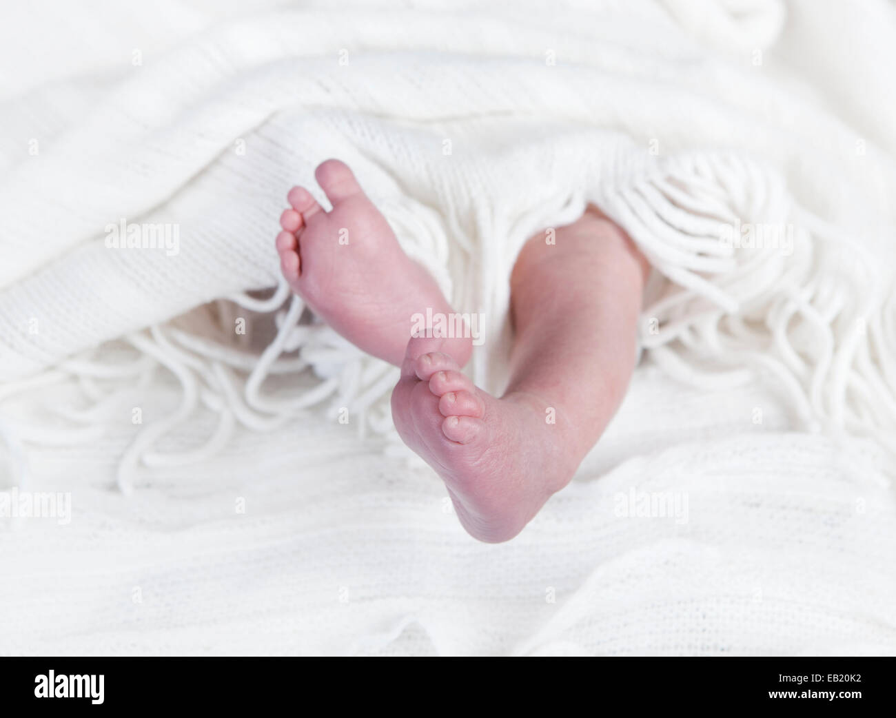 Baby feet of a newborn look in front of a white blanket Stock Photo