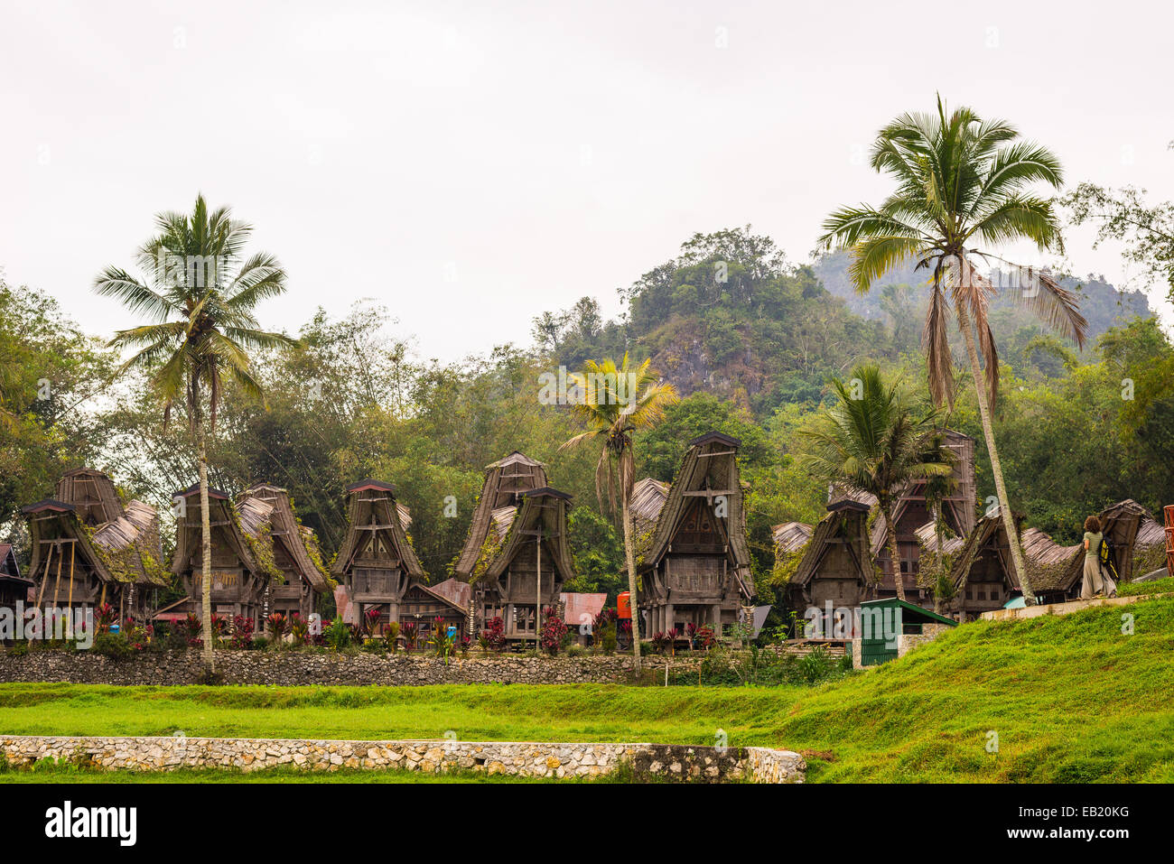 Row of wooden buildings in traditional village with typical boat shaped roofs in Tana Toraja, South Sulawesi, Indonesia. Stock Photo