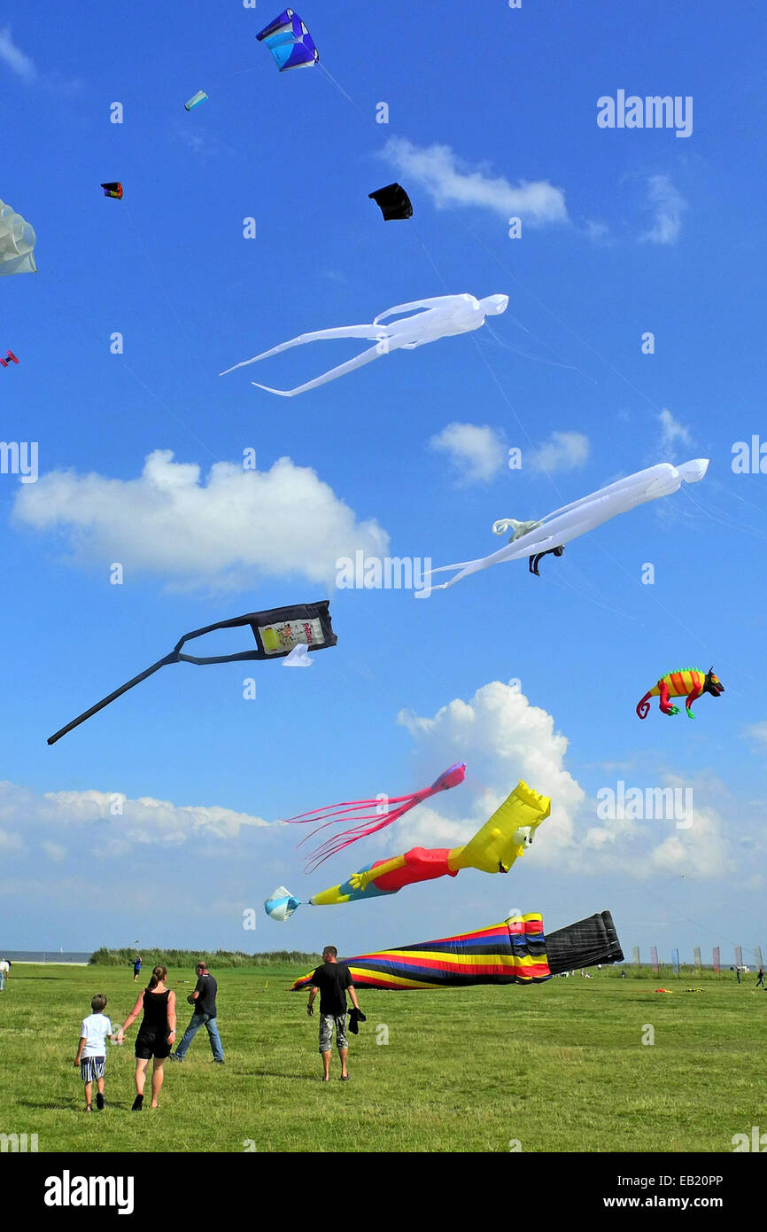 Kite festival on the beach in Schillig Stock Photo