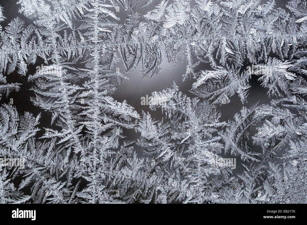 Winter frost crystals forming on window Stock Photo Alamy