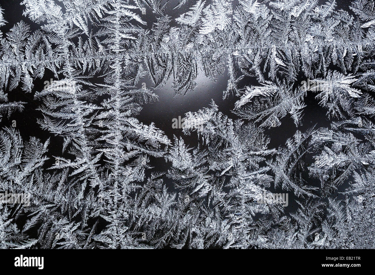 Winter frost crystals forming on window Stock Photo - Alamy