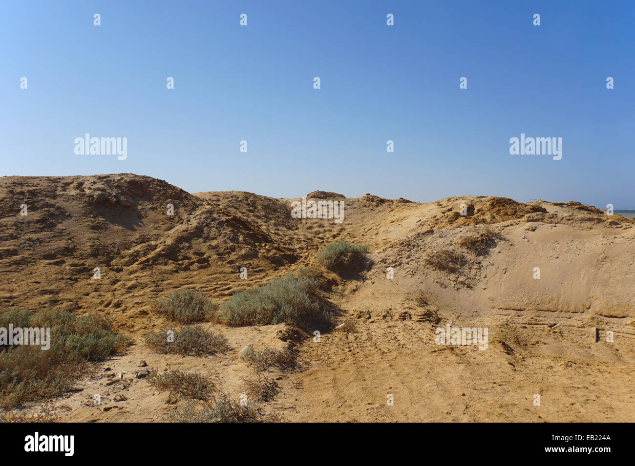 desert landscape in africa Stock Photo