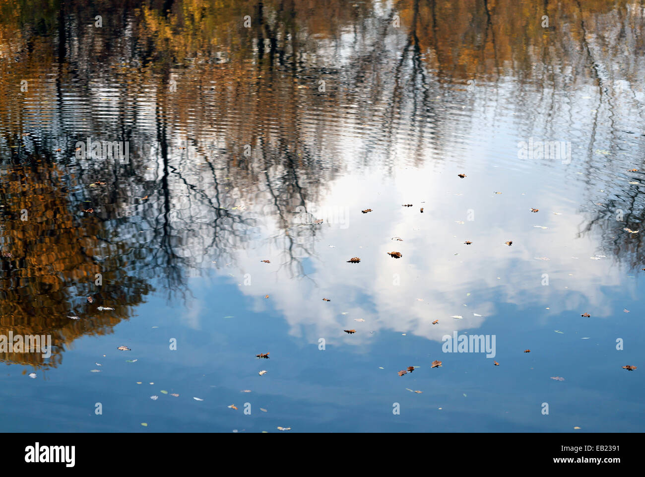 beautiful autumn trees reflecting in the water of the pond Stock Photo ...