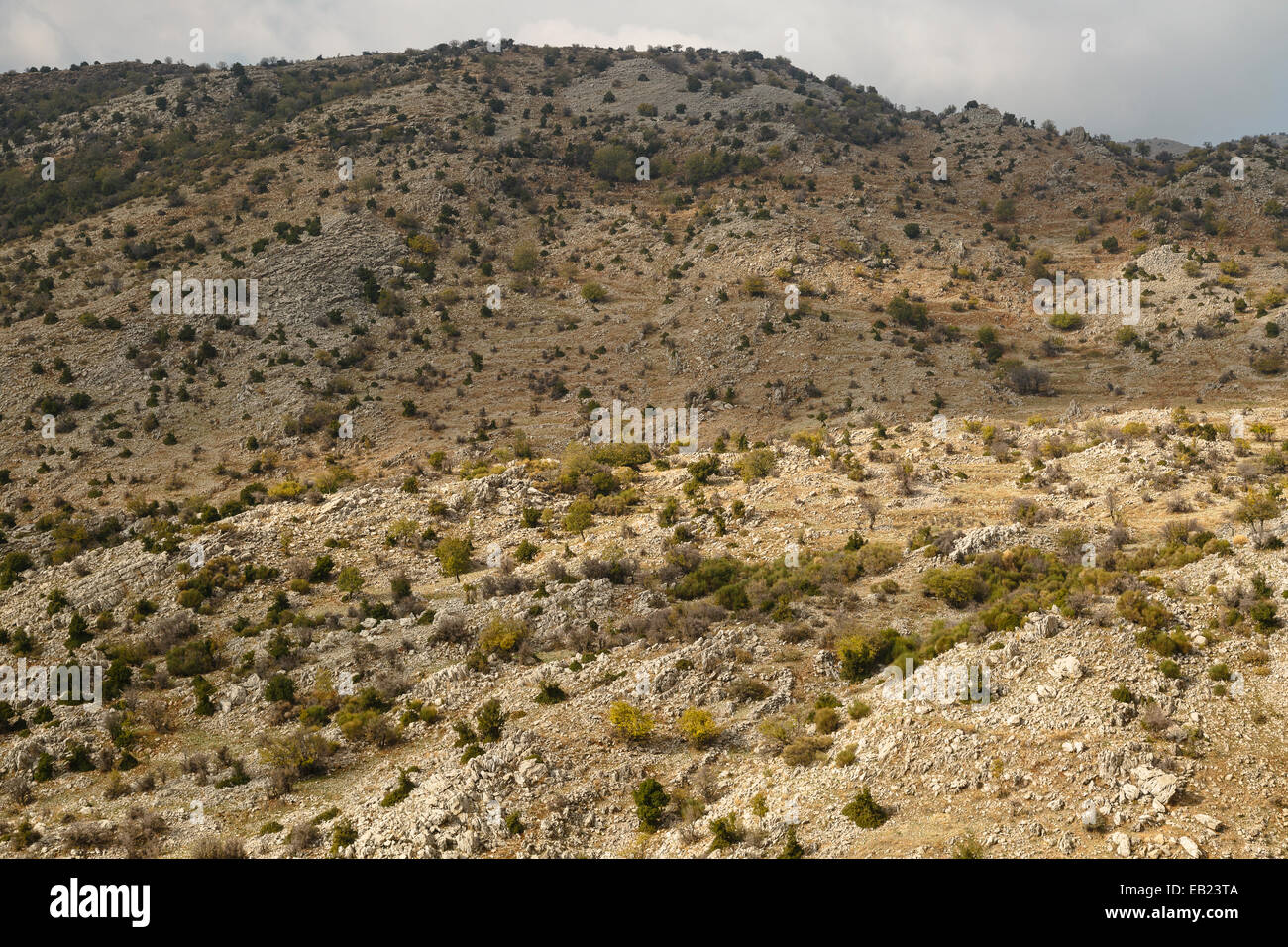 Syria israel flag hi-res stock photography and images - Alamy