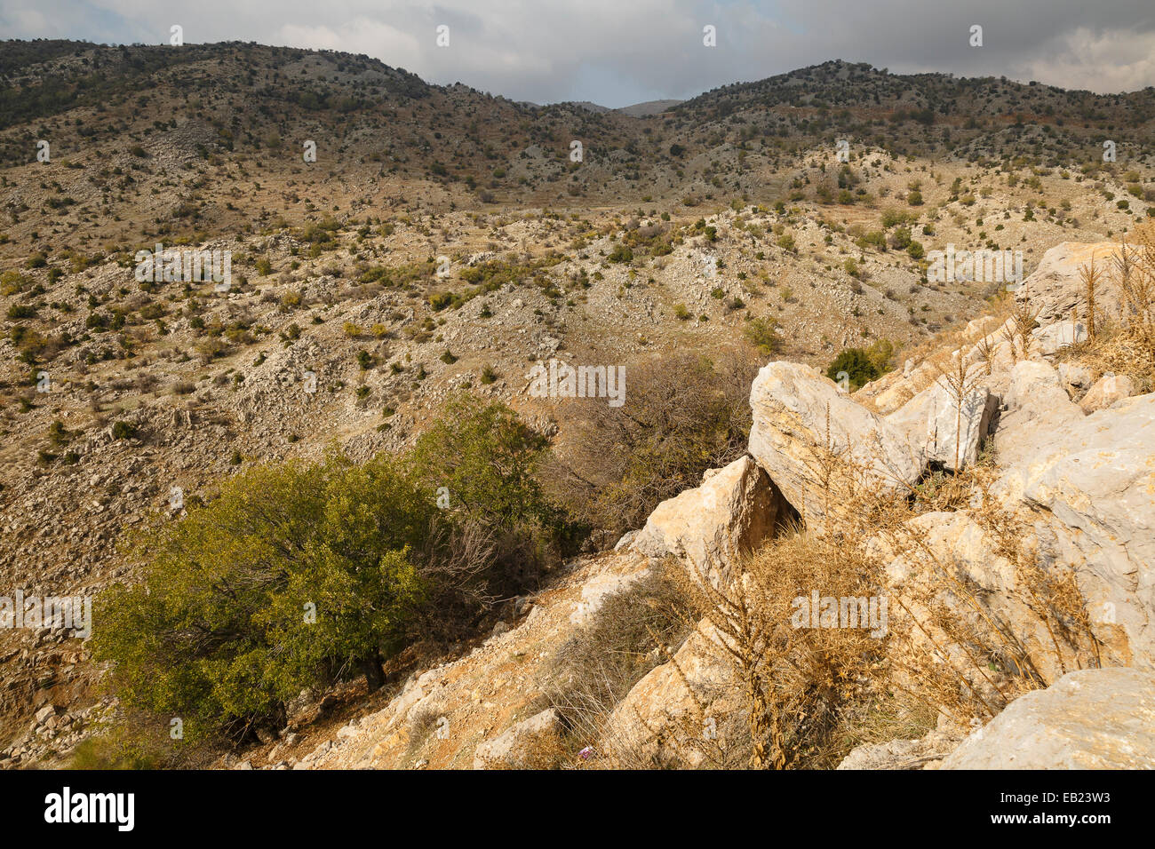 Trees and mountains. Golan Heights. Israel. Syria. Asia Stock Photo - Alamy