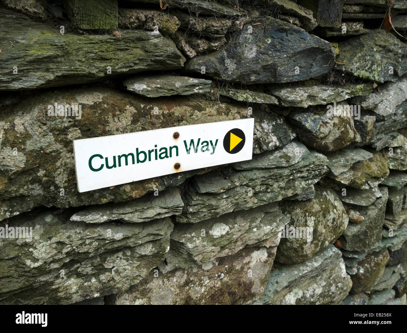 Footpath sign for Cumbrian Way on slate drystone wall, Lake District ...