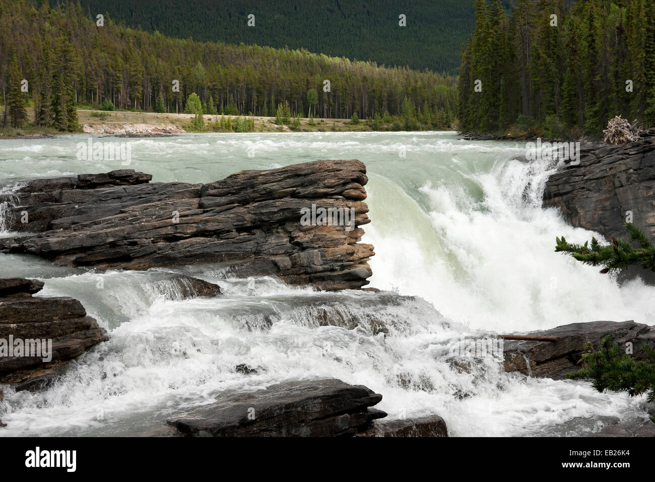 Athabaska Falls in the Canadian Rockies - Alberta. Stock Photo