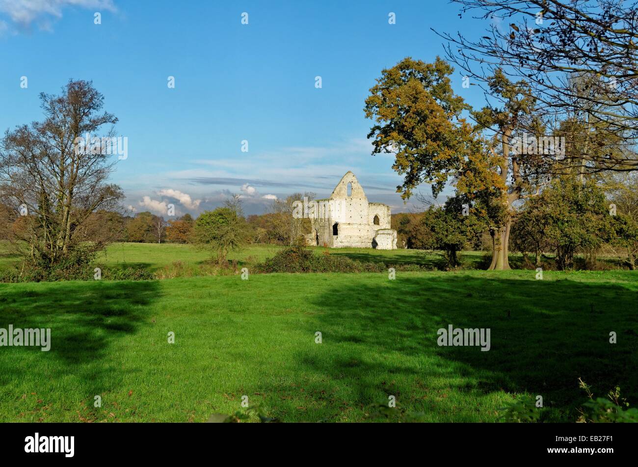 Newark Priory Pyrford Surrey Stock Photo Alamy