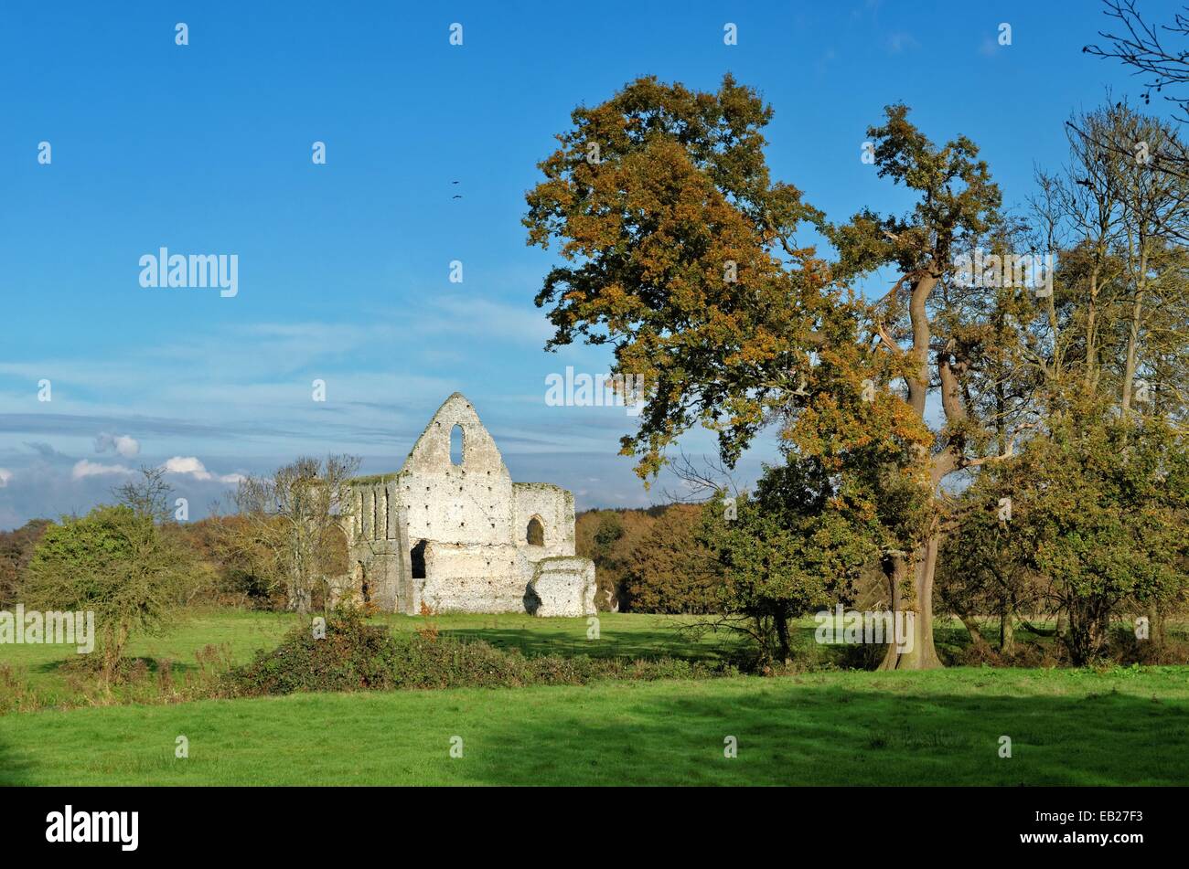 Newark Priory Pyrford Surrey Stock Photo Alamy