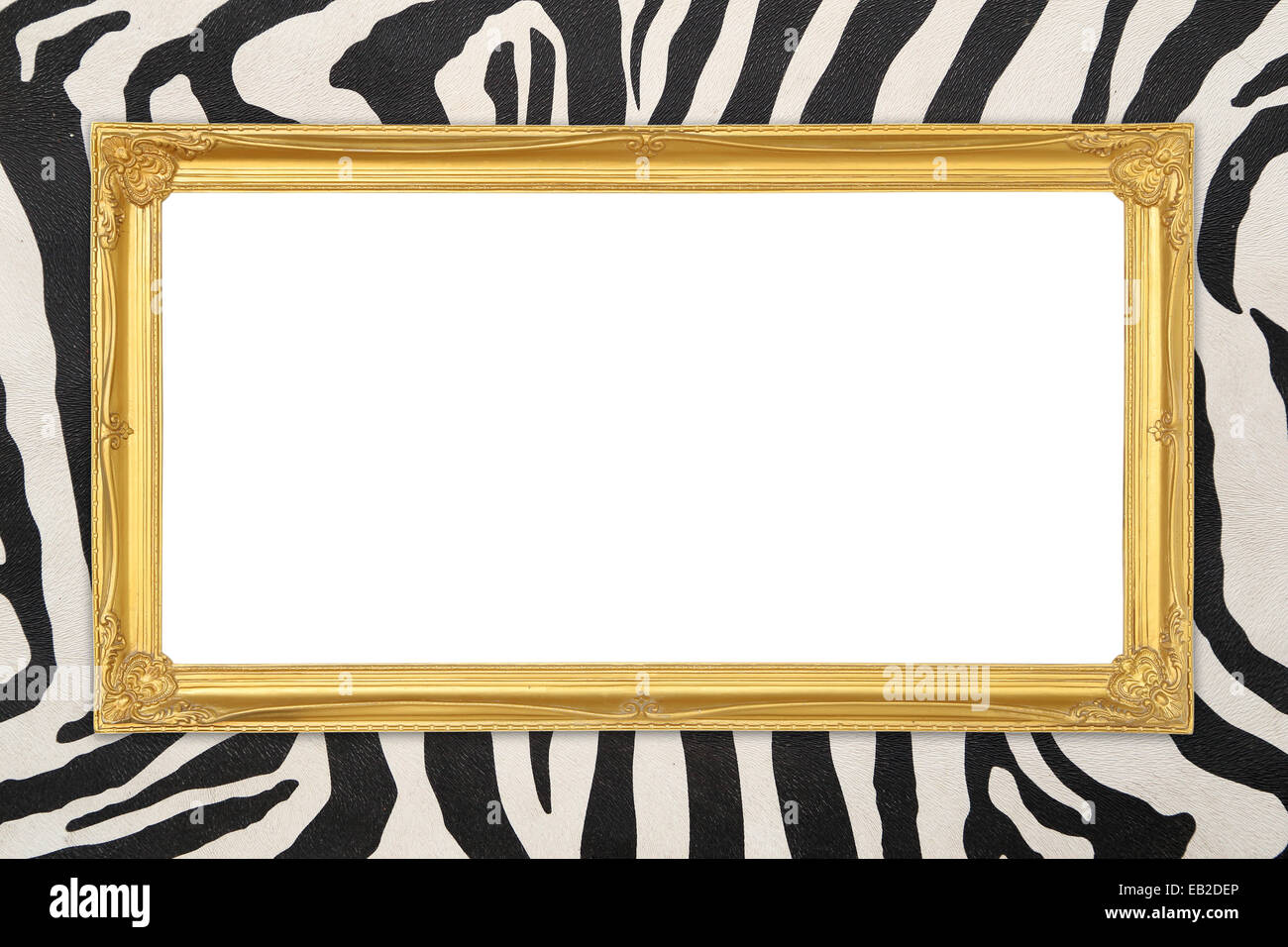 Zebra animal print pattern blank hi-res stock photography and images - Alamy, image size:1300x956
