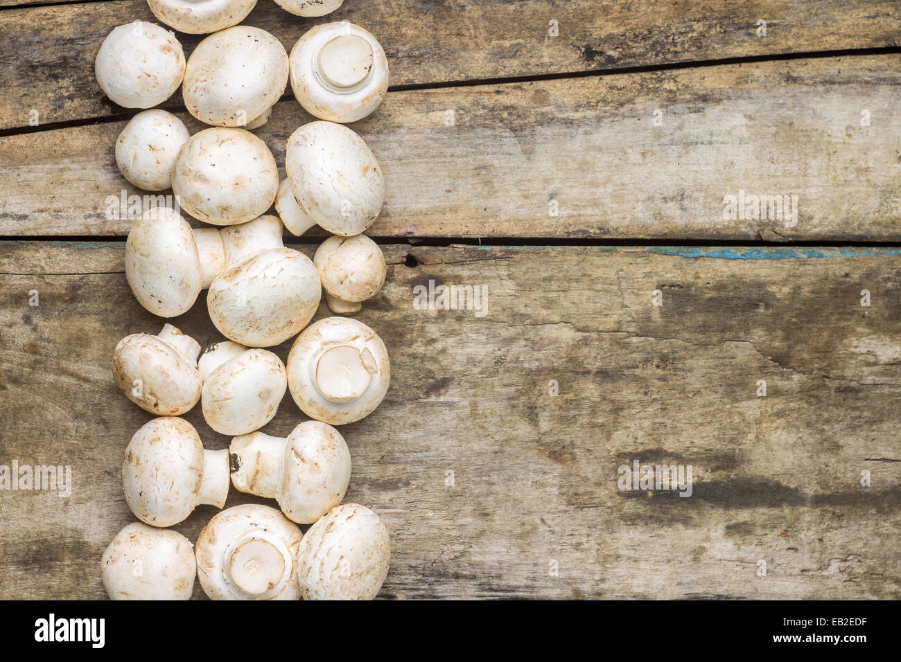 Mushrooms on wooden background. Row of Champignons Stock Photo
