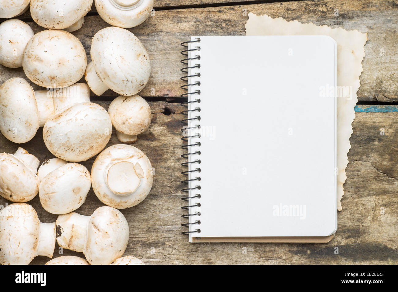 Mushrooms with blank cooking book or recipe sheet on wood background Stock Photo