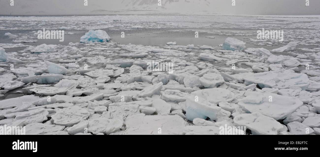 Frozen waters at Yankee Harbor in Antarctica’s Greenwich Island Stock