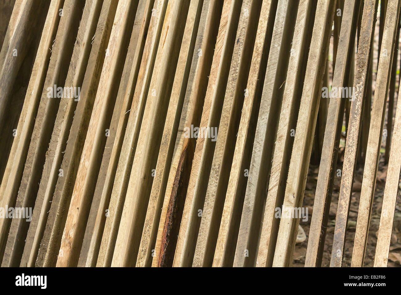 Unprocessed pine boards drying Stock Photo