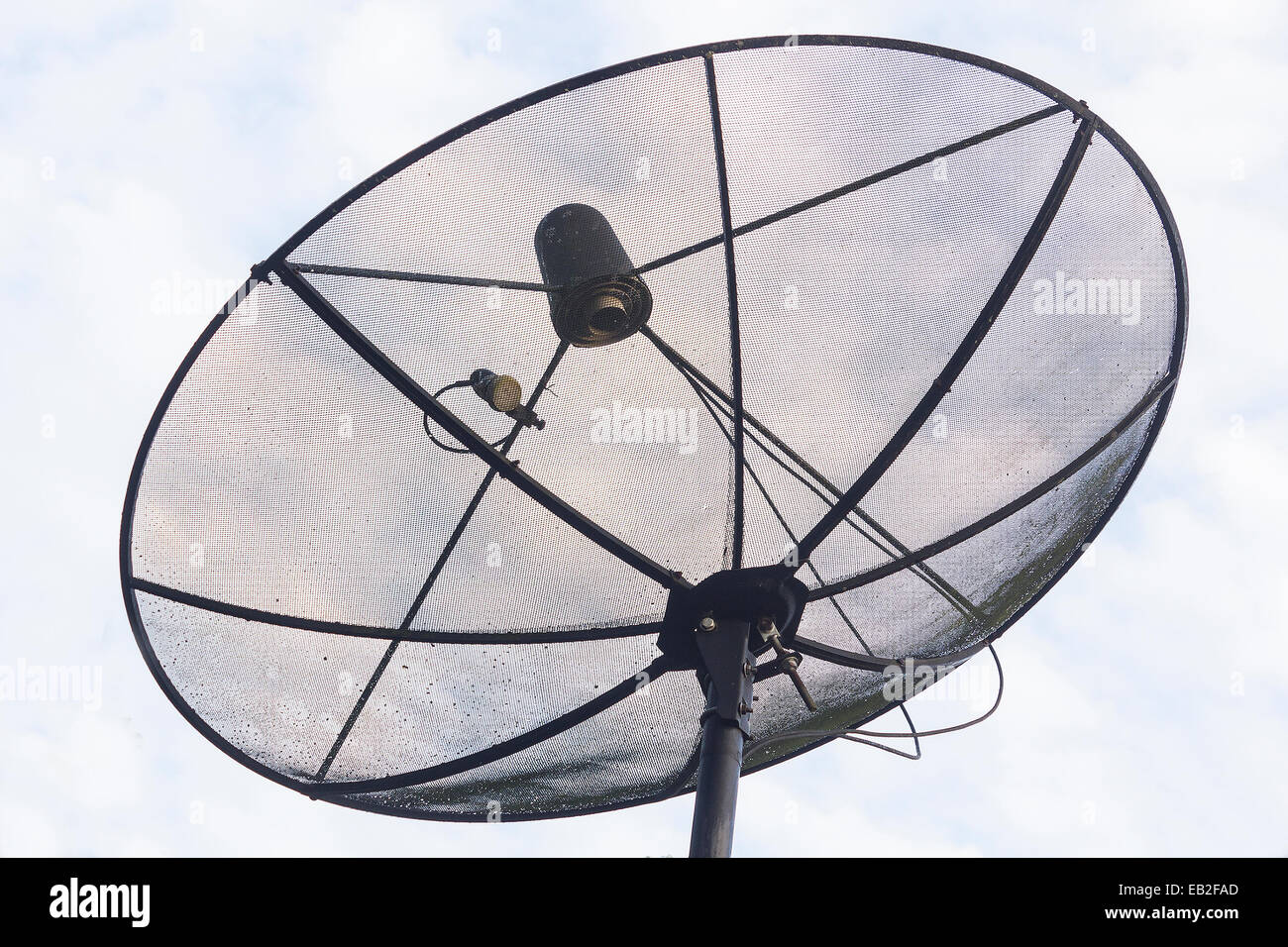 Big dish 2024