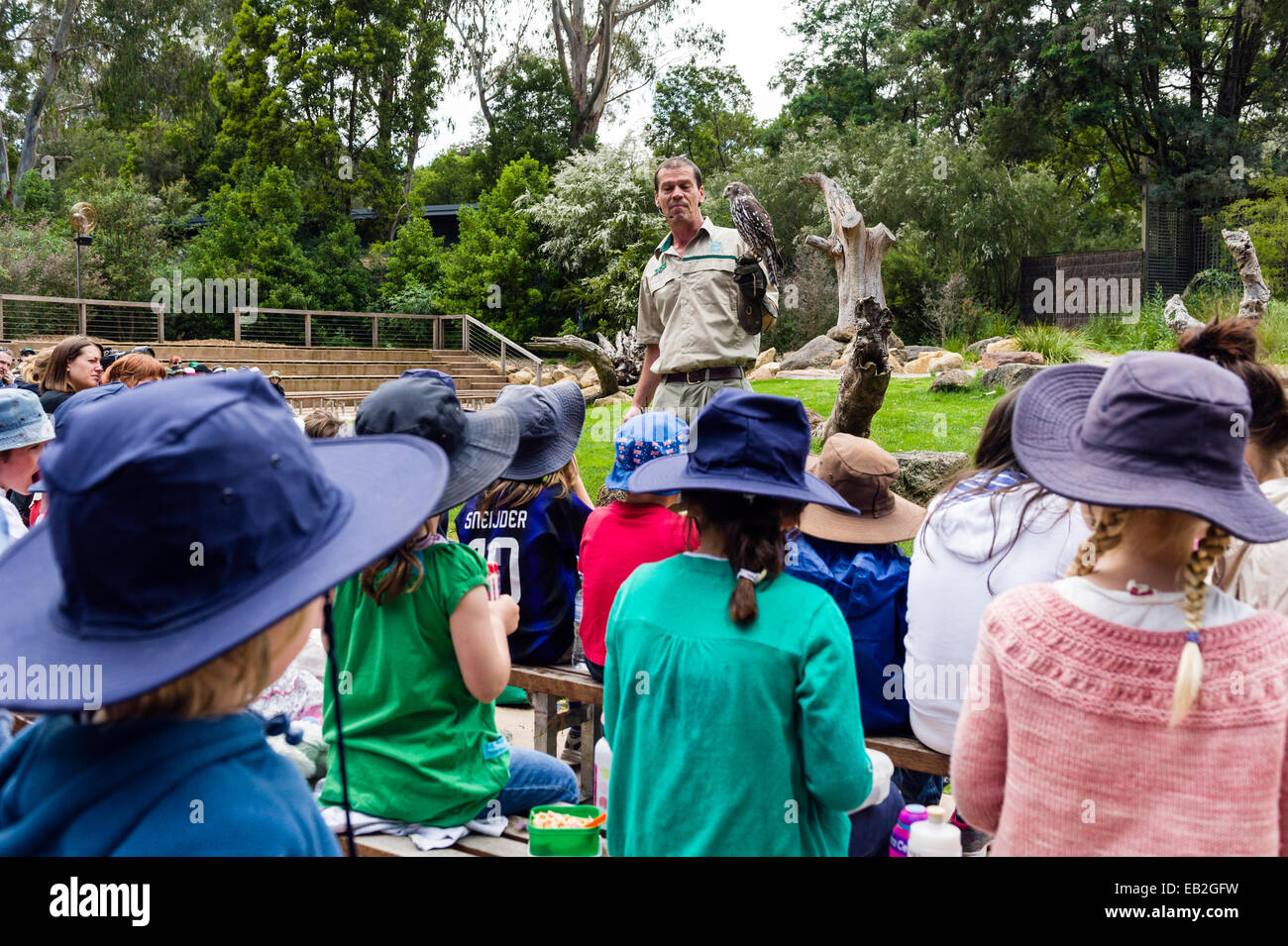 A zoo keeper teaches school children about birds of prey in an animal display. Stock Photo