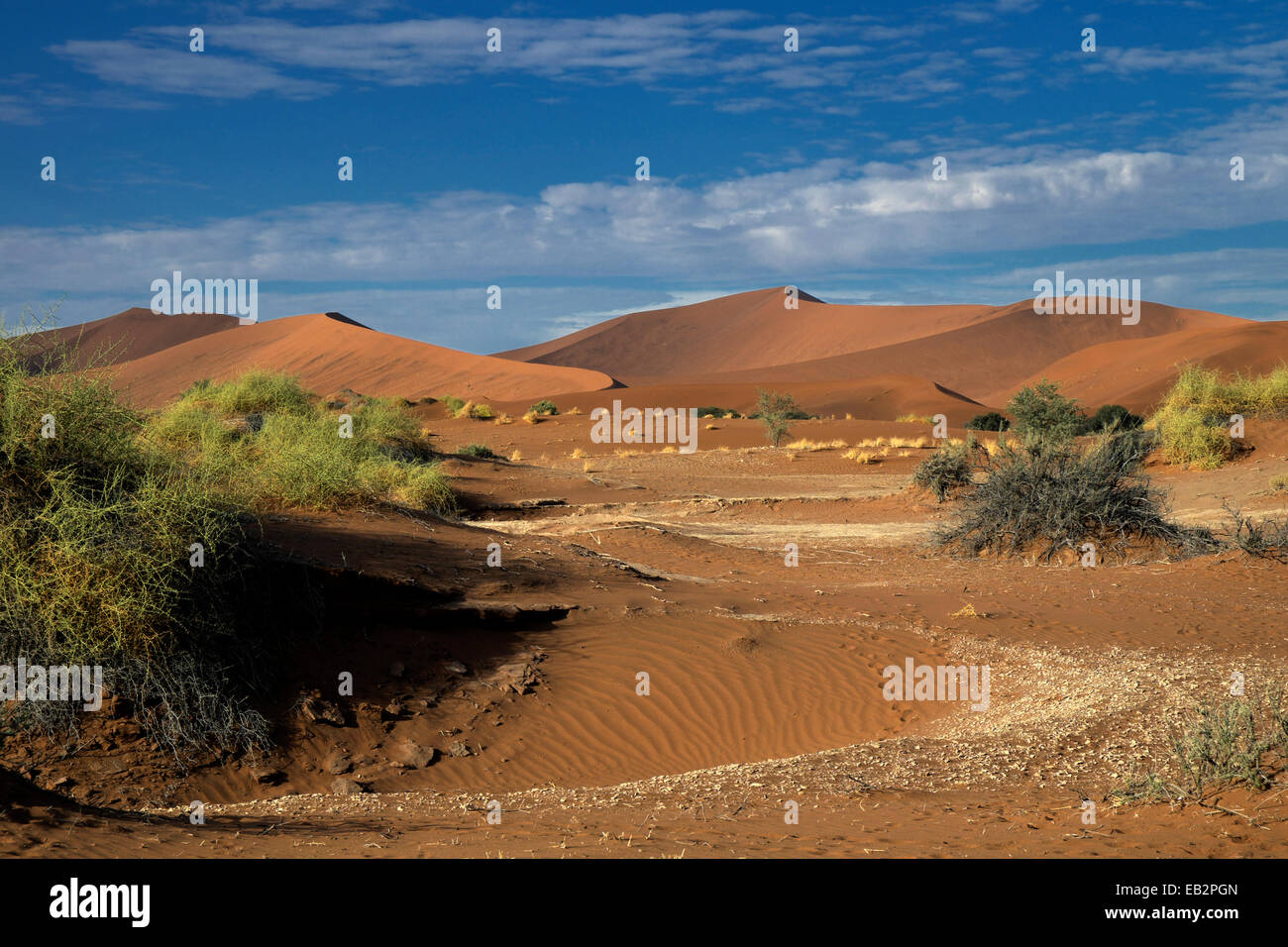Desert landscape, Namib, Hardap Region, Namibia Stock Photo