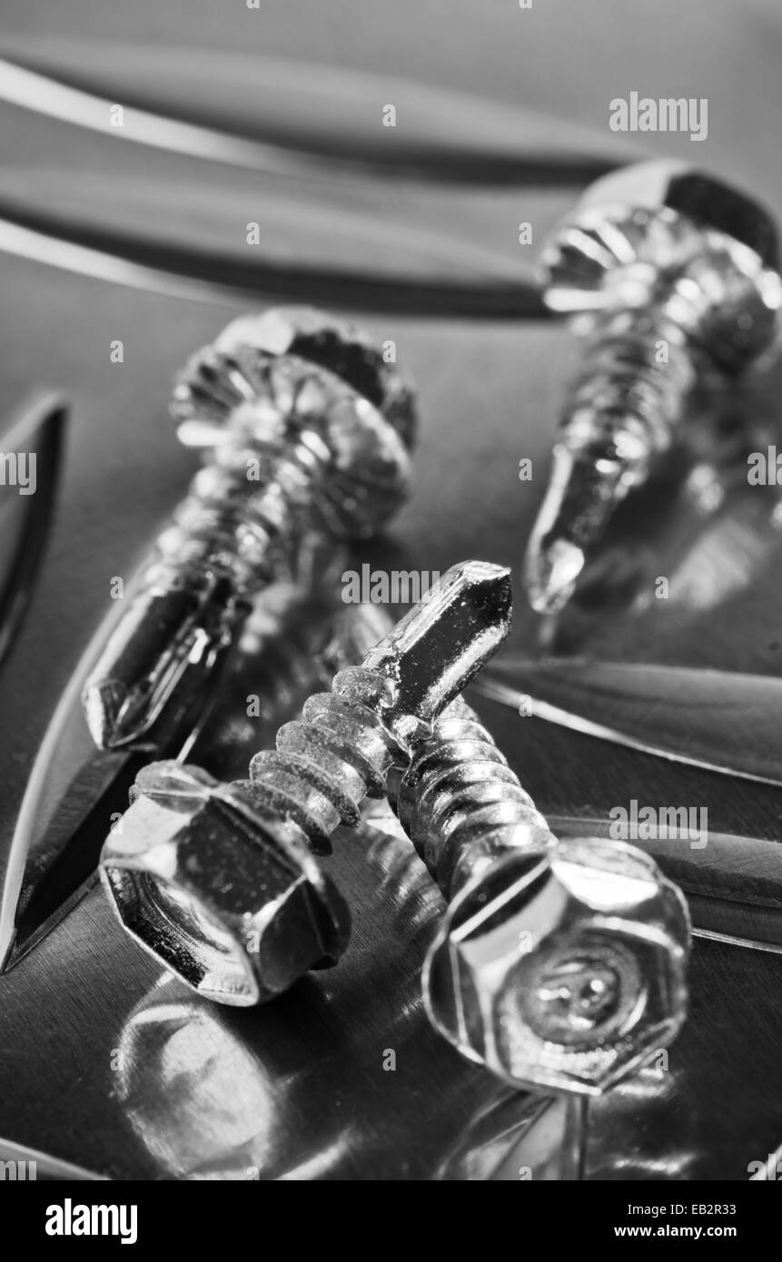 screws for metal, closeup Stock Photo Alamy