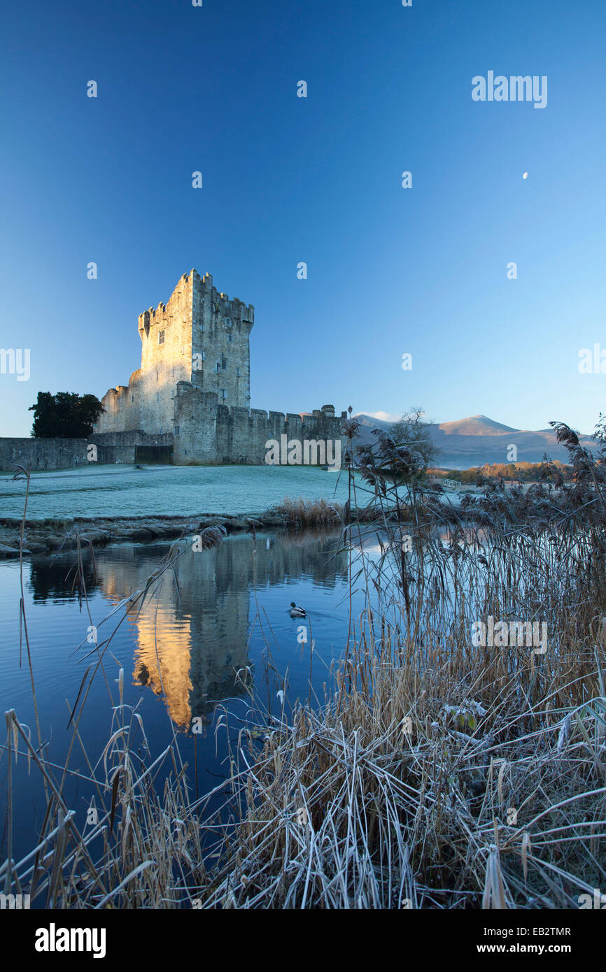 Winter at Ross Castle, Lough Leane, Killarney National Park, County Kerry, Ireland. Stock Photo