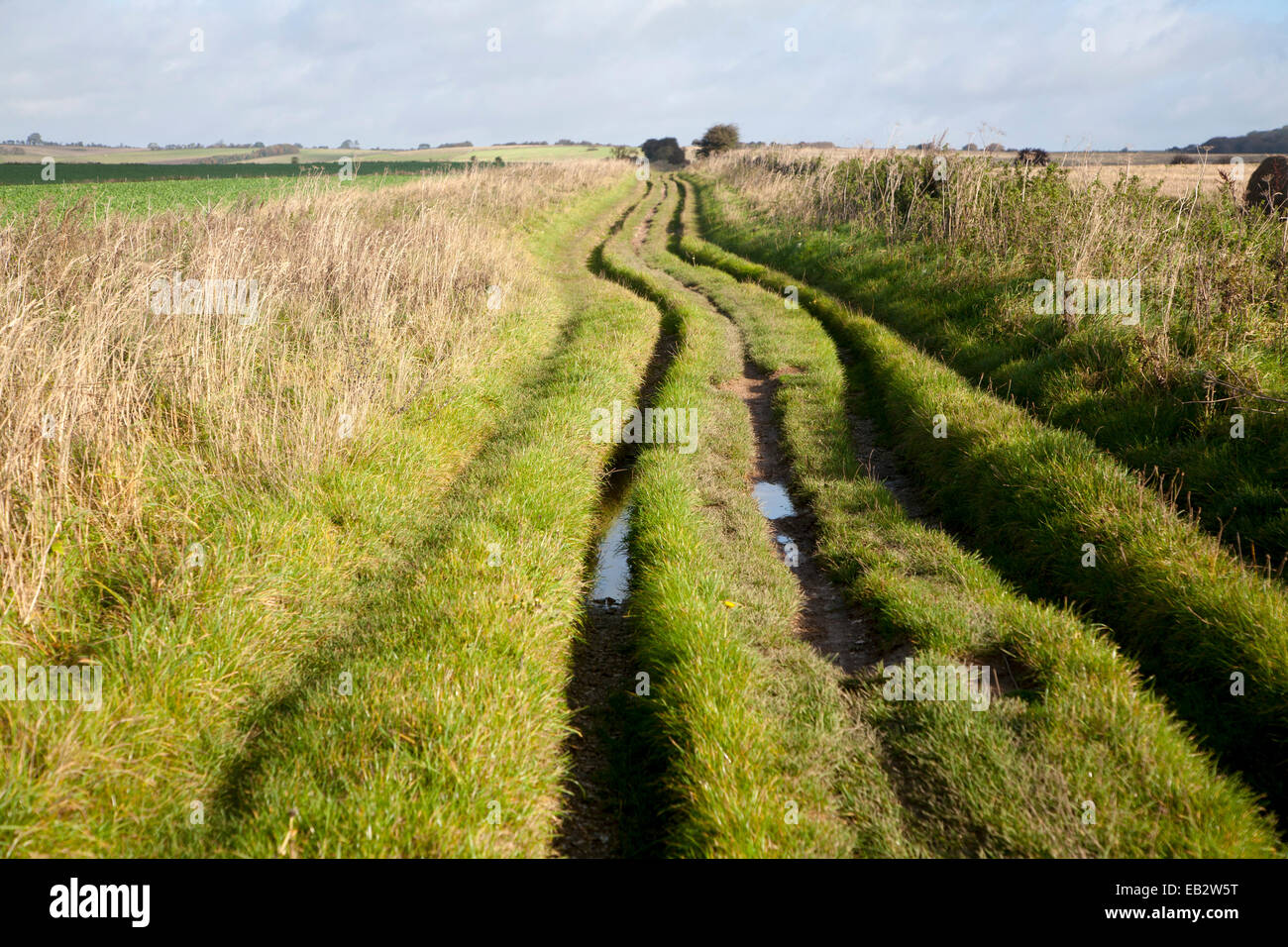 The Ridgeway long distance footpath dating from prehistory near its