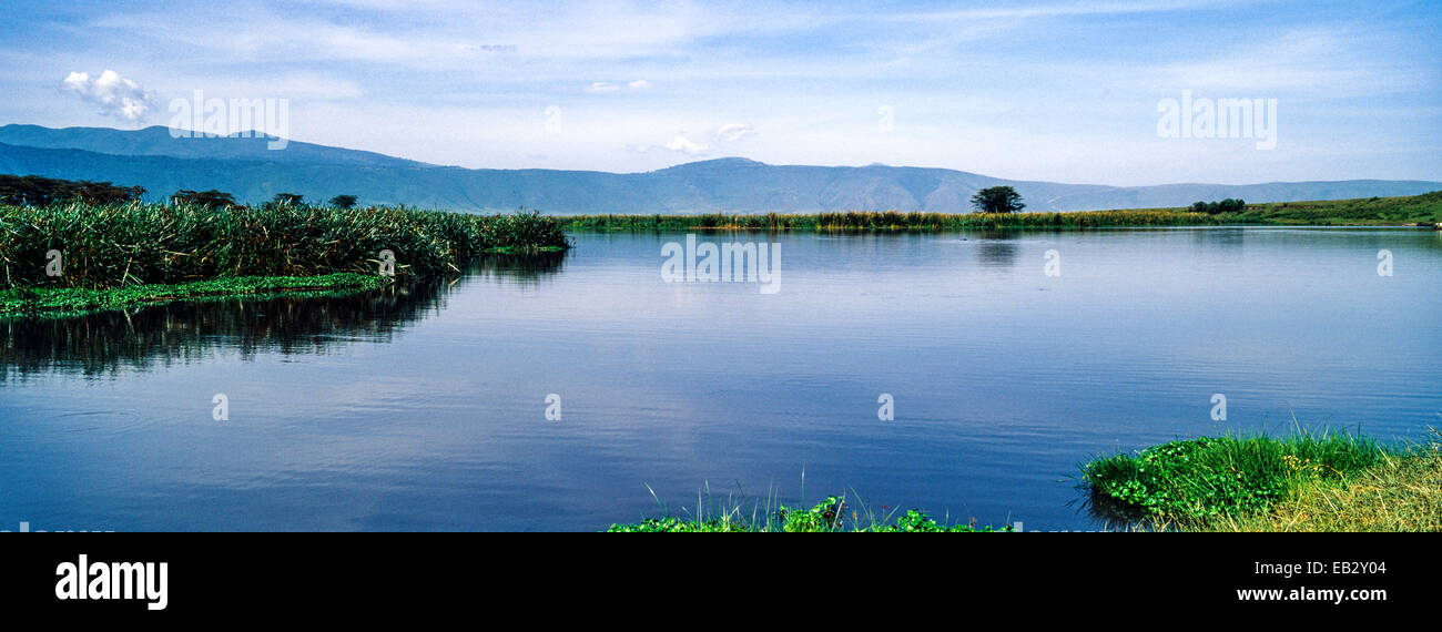 A wide permanent waterhole lined with reeds on a volcano caldera floor. Stock Photo