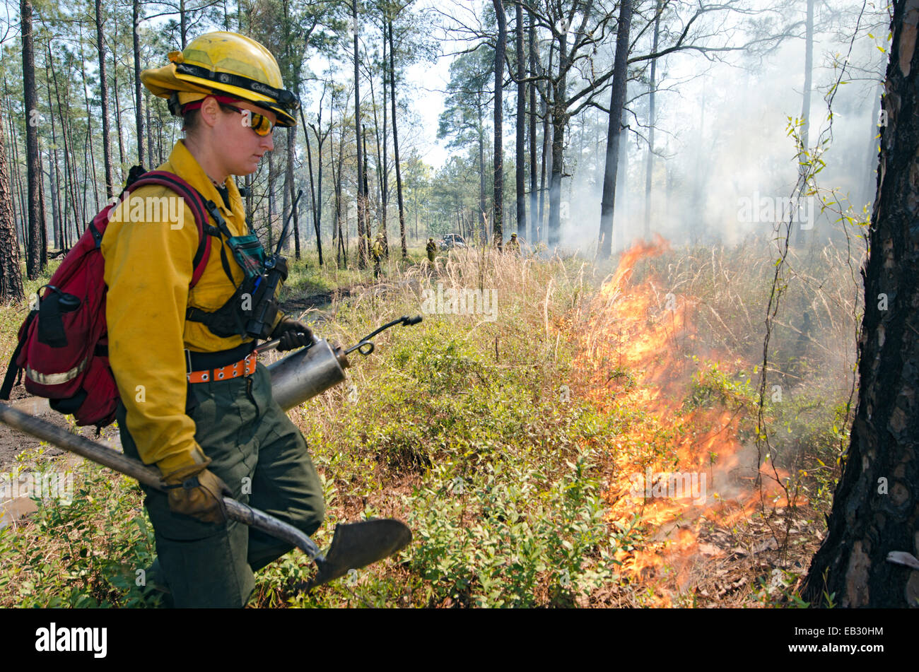 A firefighter lights a prescribed fire with a drip torch in the Moody