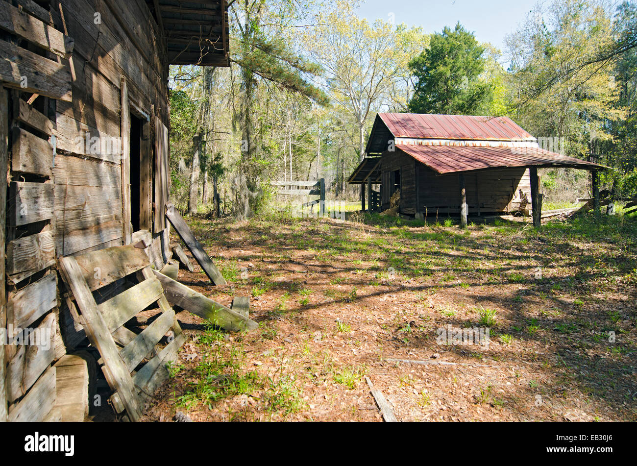 Historic wooden building in Moody Forest Natural Area managed by The