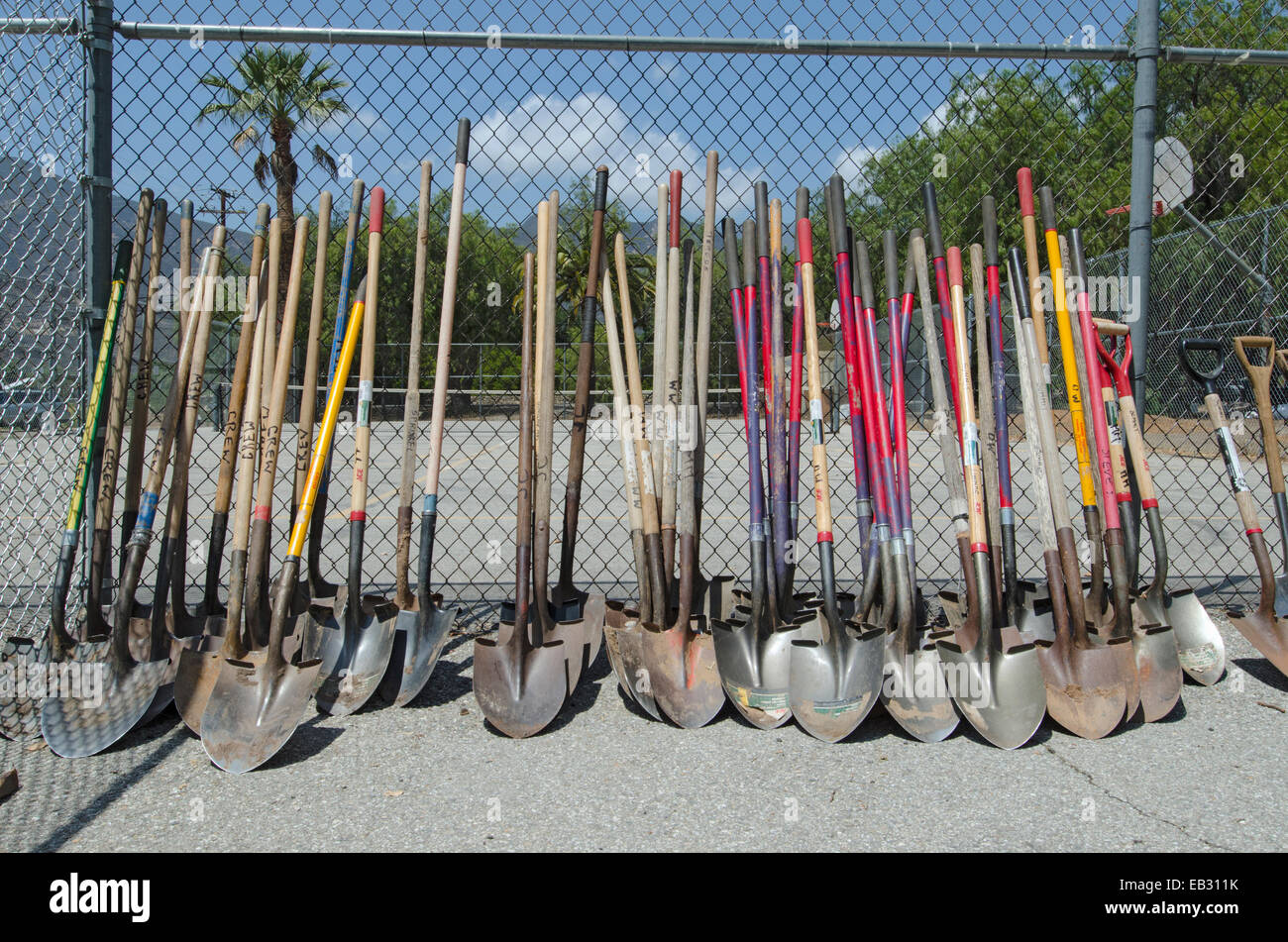Shovels lined up for a garden volunteer day at San Antonio Elementary School in Ojai, California. Stock Photo