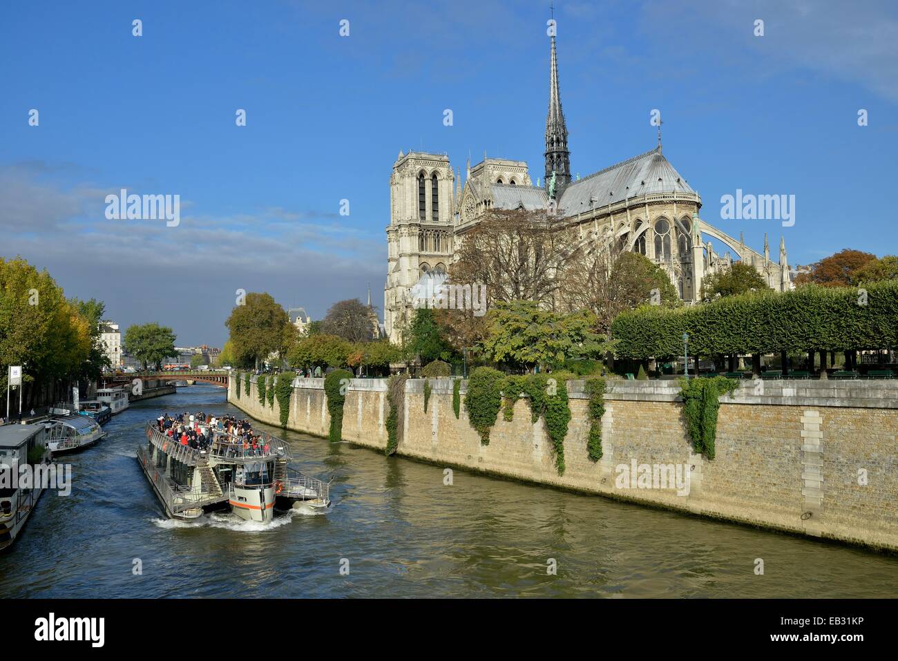 Sightseeing boat on the Seine river in front of Notre Dame Cathedral, Paris, France Stock Photo