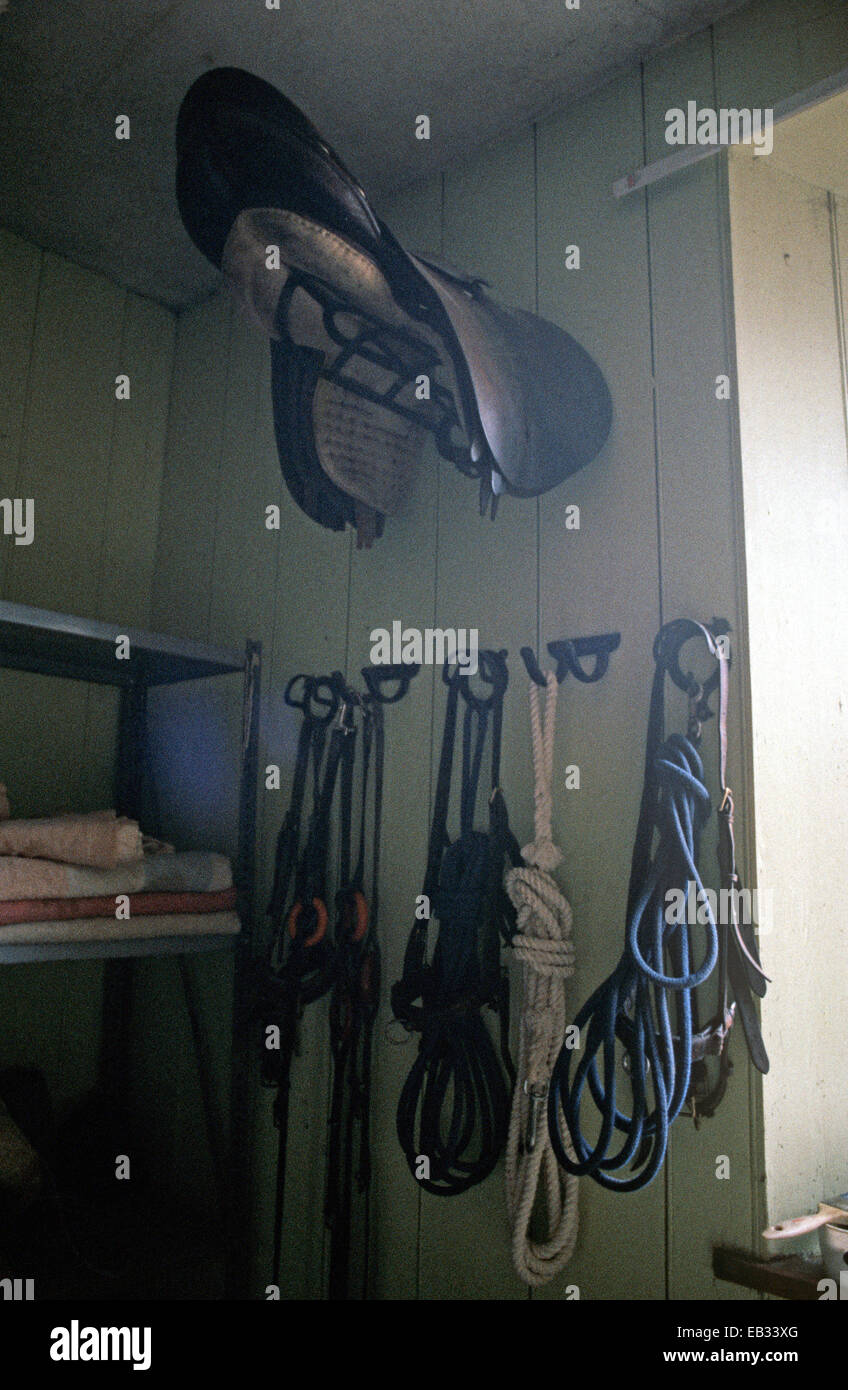 TACK ROOM WHERE SADDLES AND HUNTING EQUIPMENT KEPT, FOX HUNTING FARM