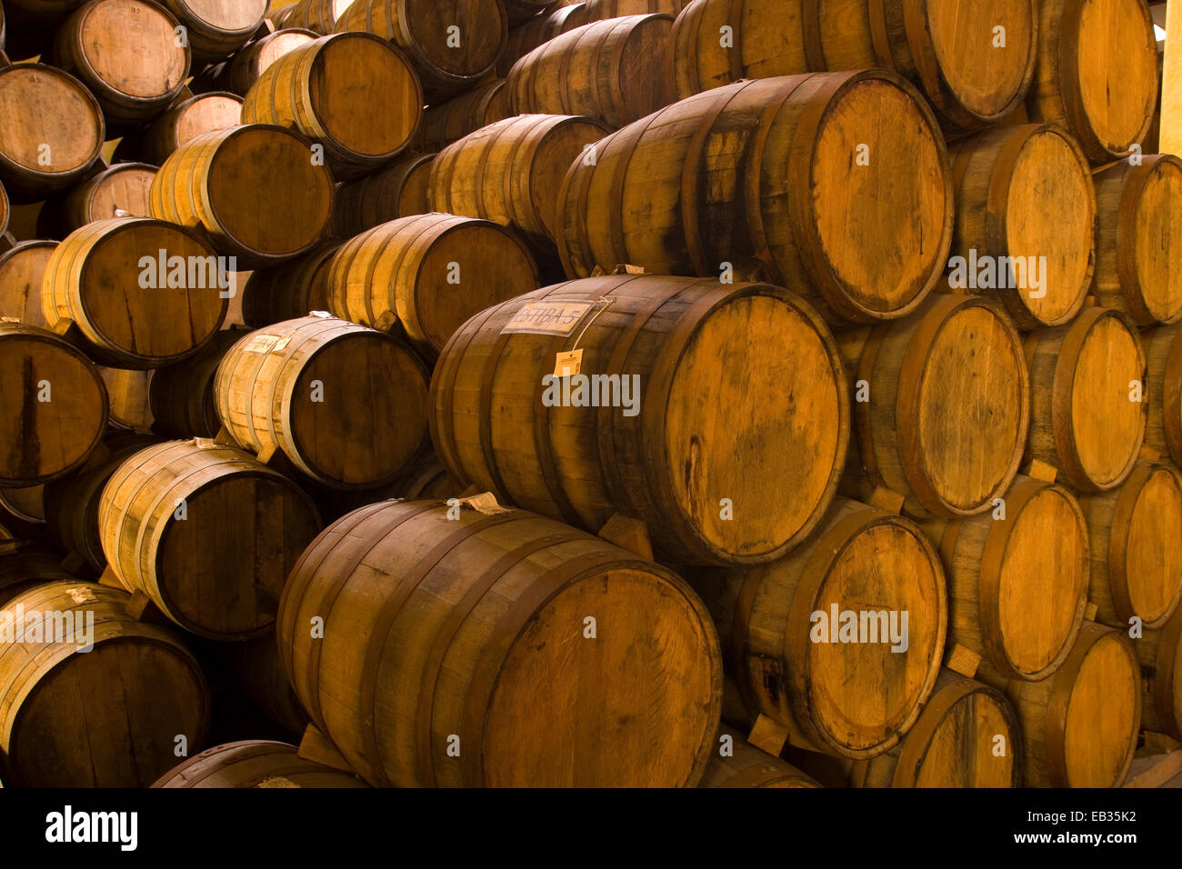 Wooden barrels with tequila, José Cuervo Tequila Distillery, Tequila