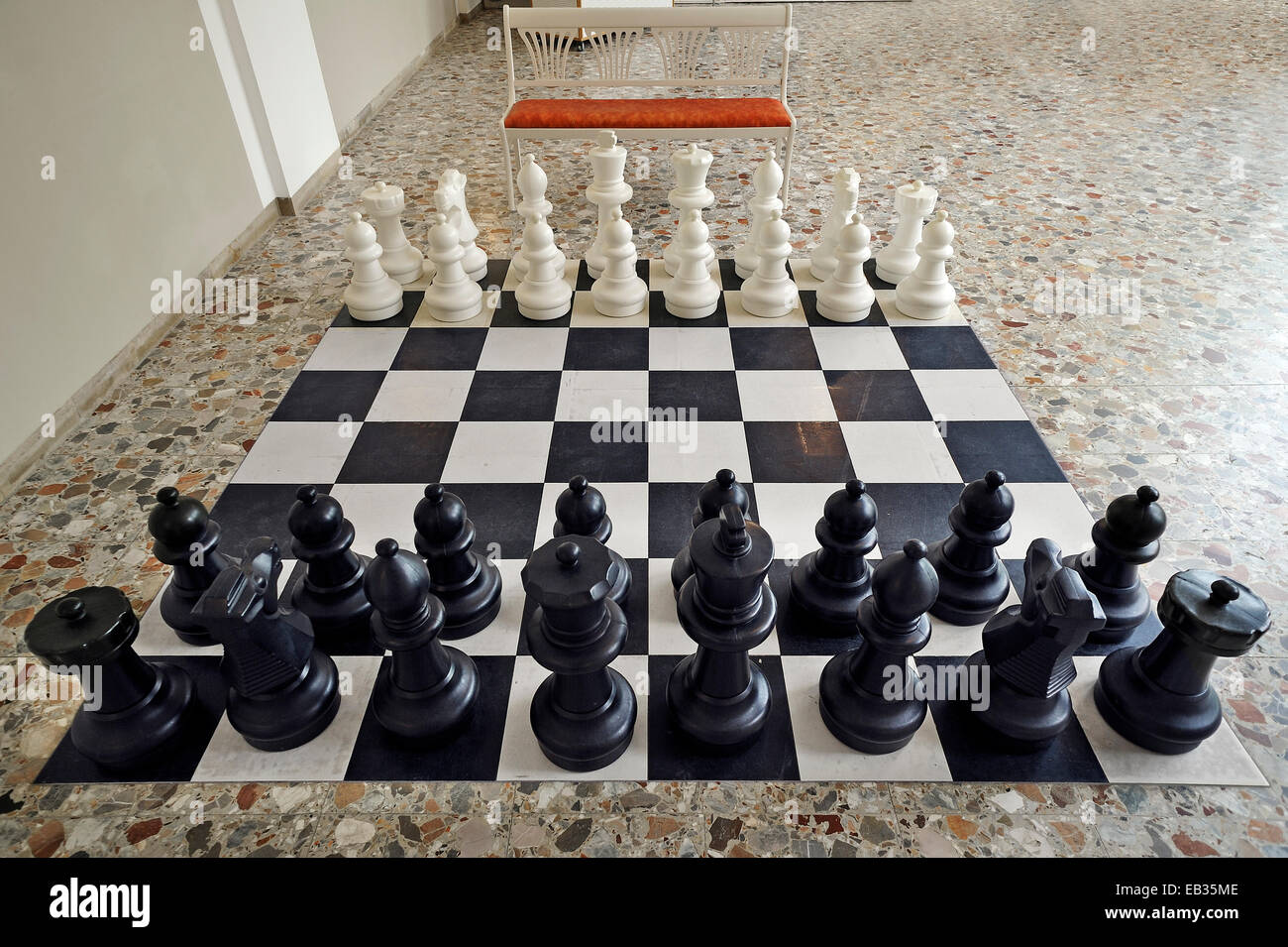 Chess Floor Projects  Photos, videos, logos, illustrations and