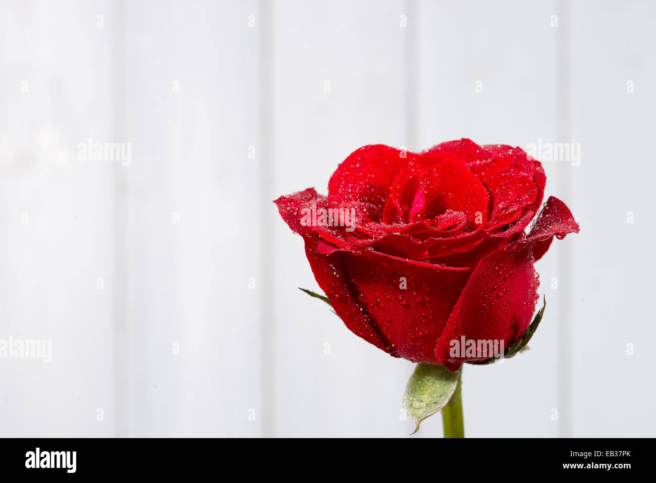 the red roses on wooden background Stock Photo - Alamy