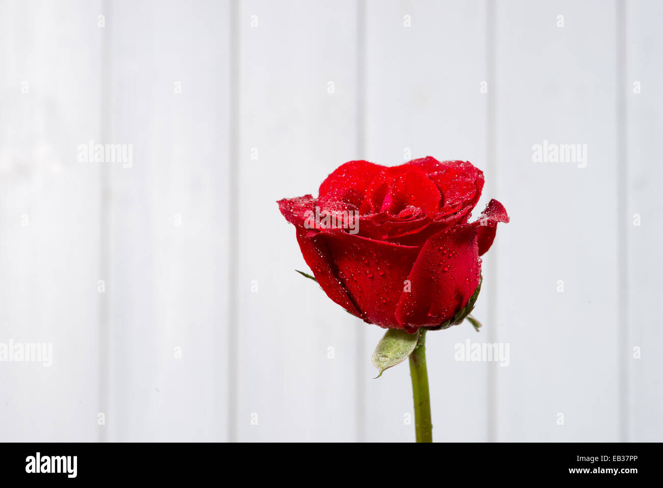 the red roses on wooden background Stock Photo - Alamy