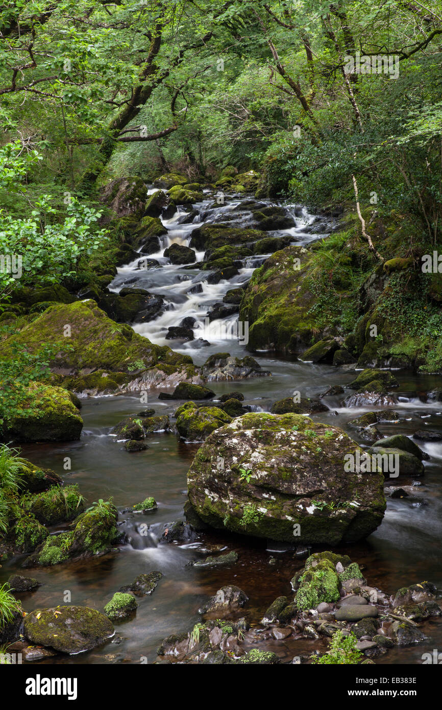 Stream, near Glengarriff, County Cork, Ireland Stock Photo Alamy