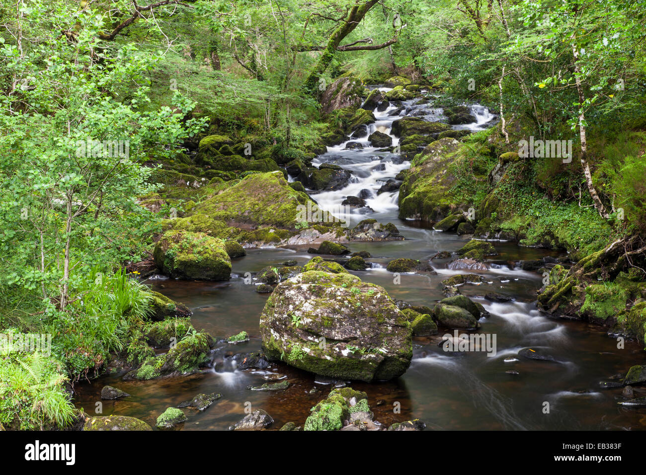 Stream, near Glengarriff, County Cork, Ireland Stock Photo Alamy