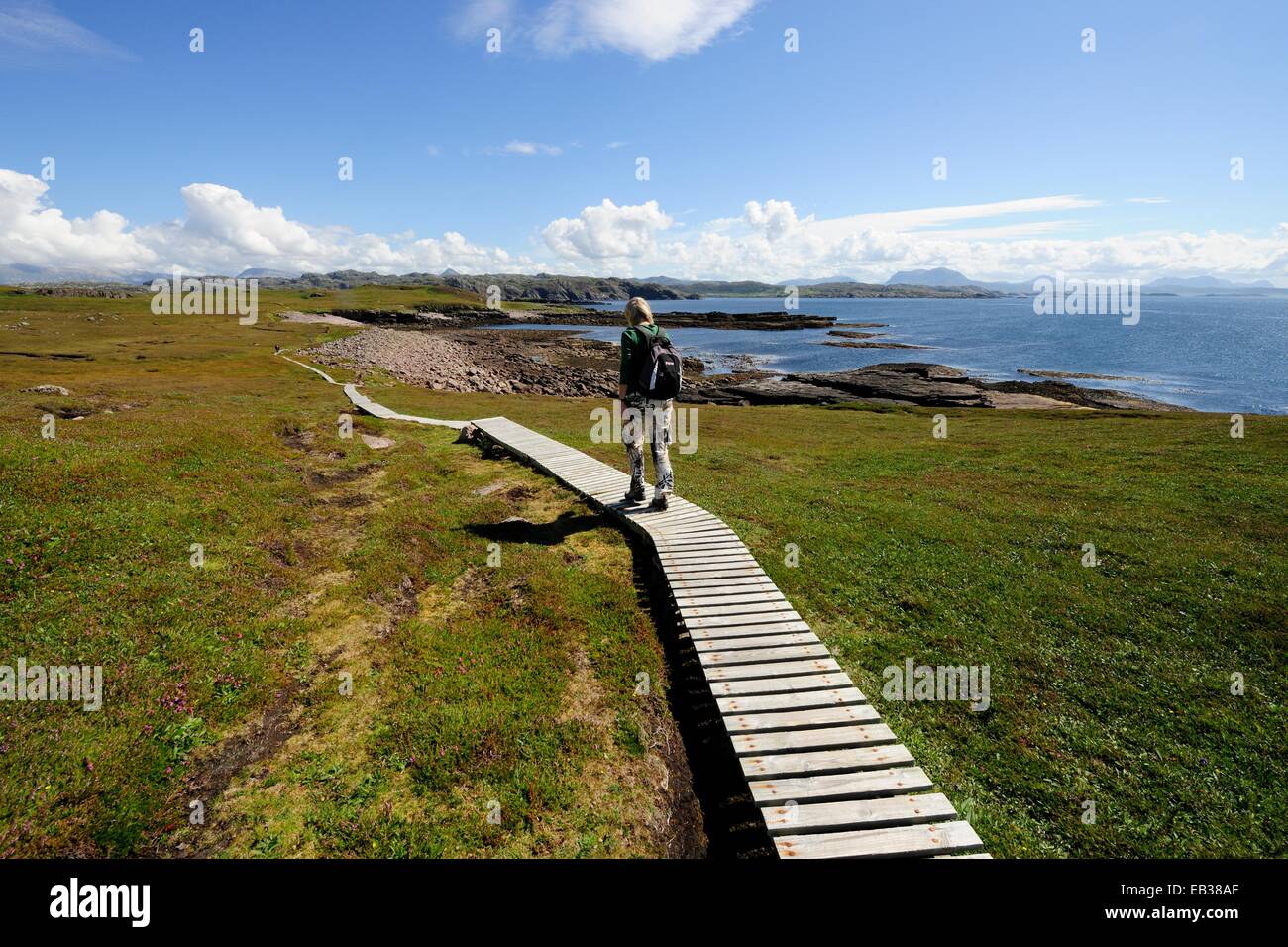 Hiker walking over a wooden boardwalk that crosses the marshy areas around the island of Handa, Scourie, Scotland Stock Photo