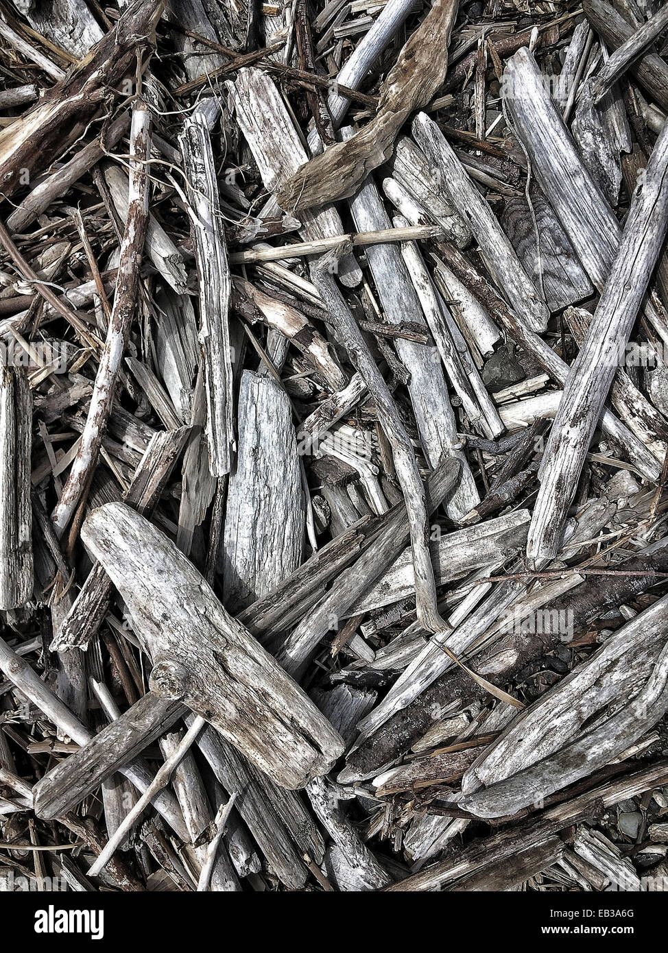 Close up of pile of driftwood - Smartphone Captured Stock Image