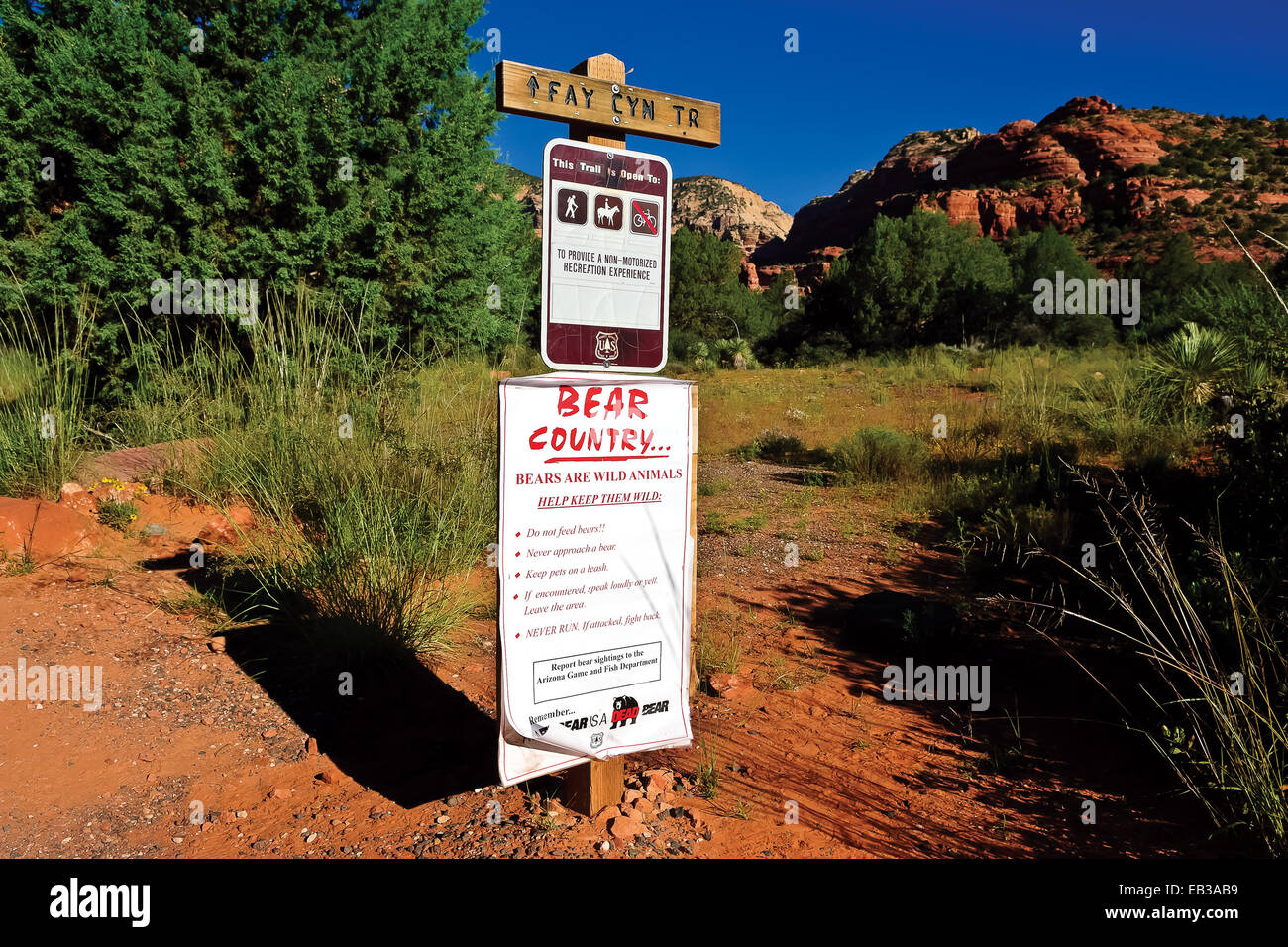 Bear Country warning sign, Fay Canyon, Coconino National Forest, Yavapai County, Arizona, USA Stock Photo