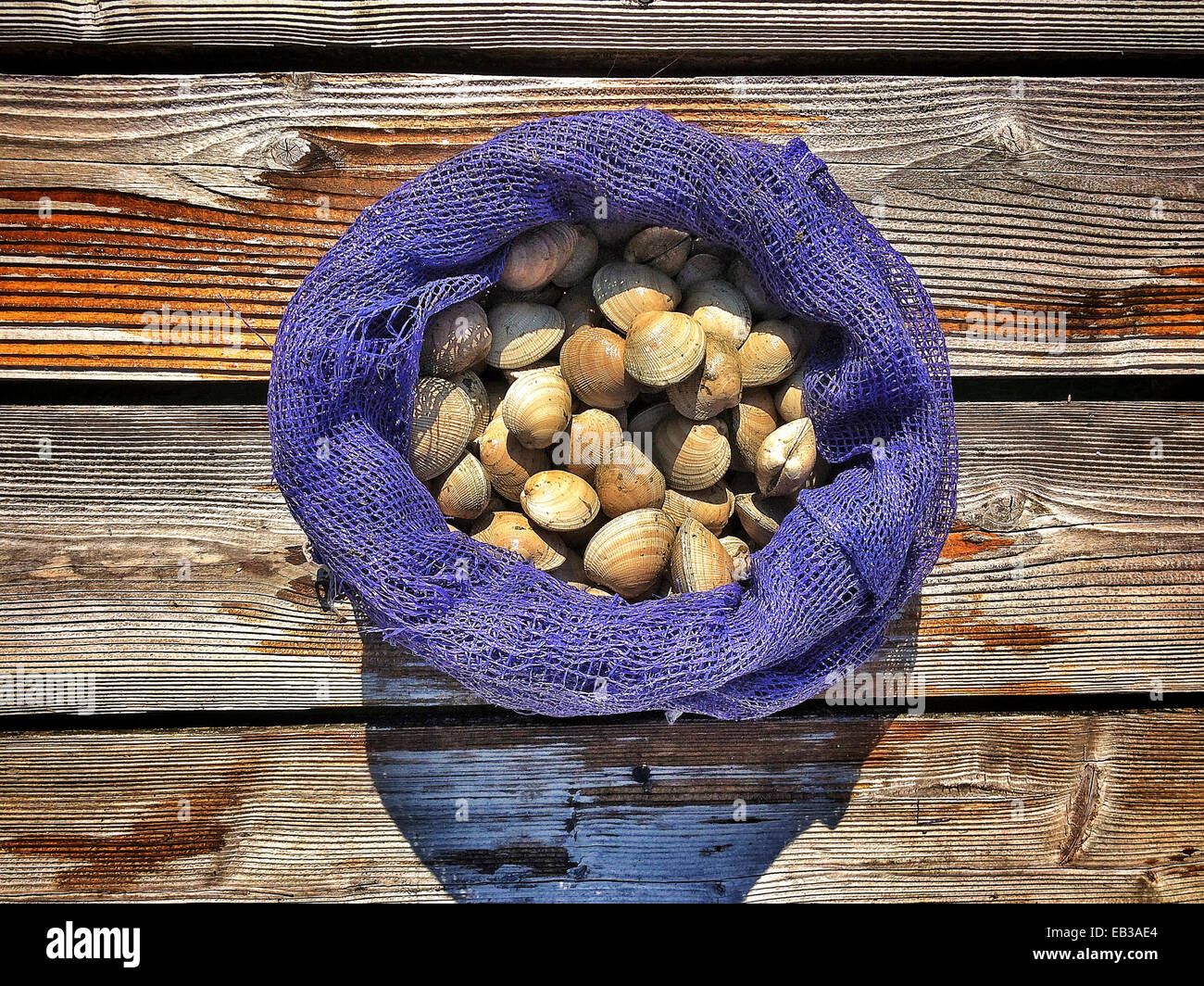 Sack of clams on wooden dock - Smartphone Captured Stock Image