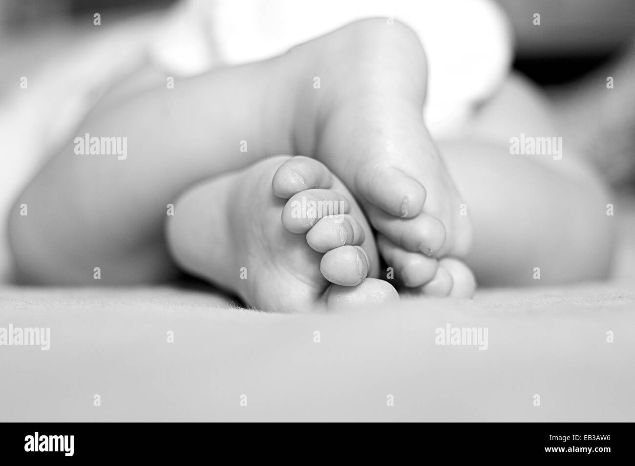 Close-up of baby boy's feet Stock Photo