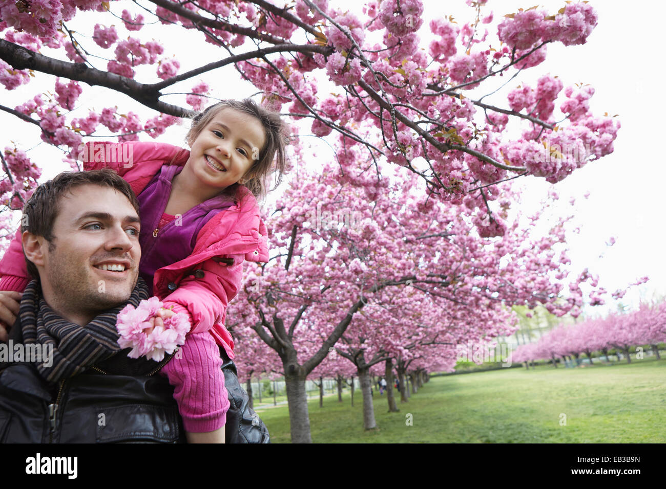 Father carrying daughter on shoulders in park Stock Photo - Alamy