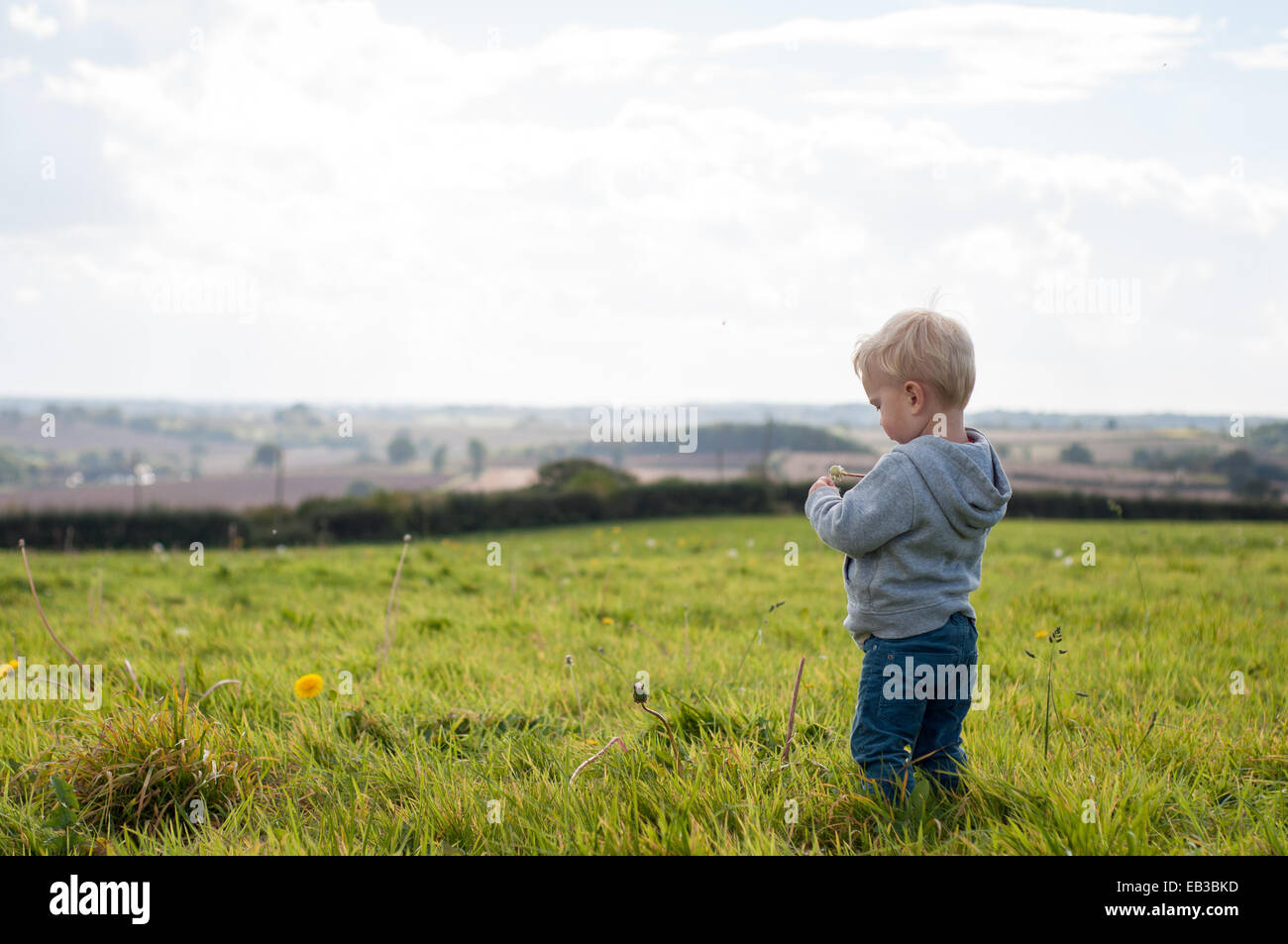Boy standing in a field Stock Photo - Alamy