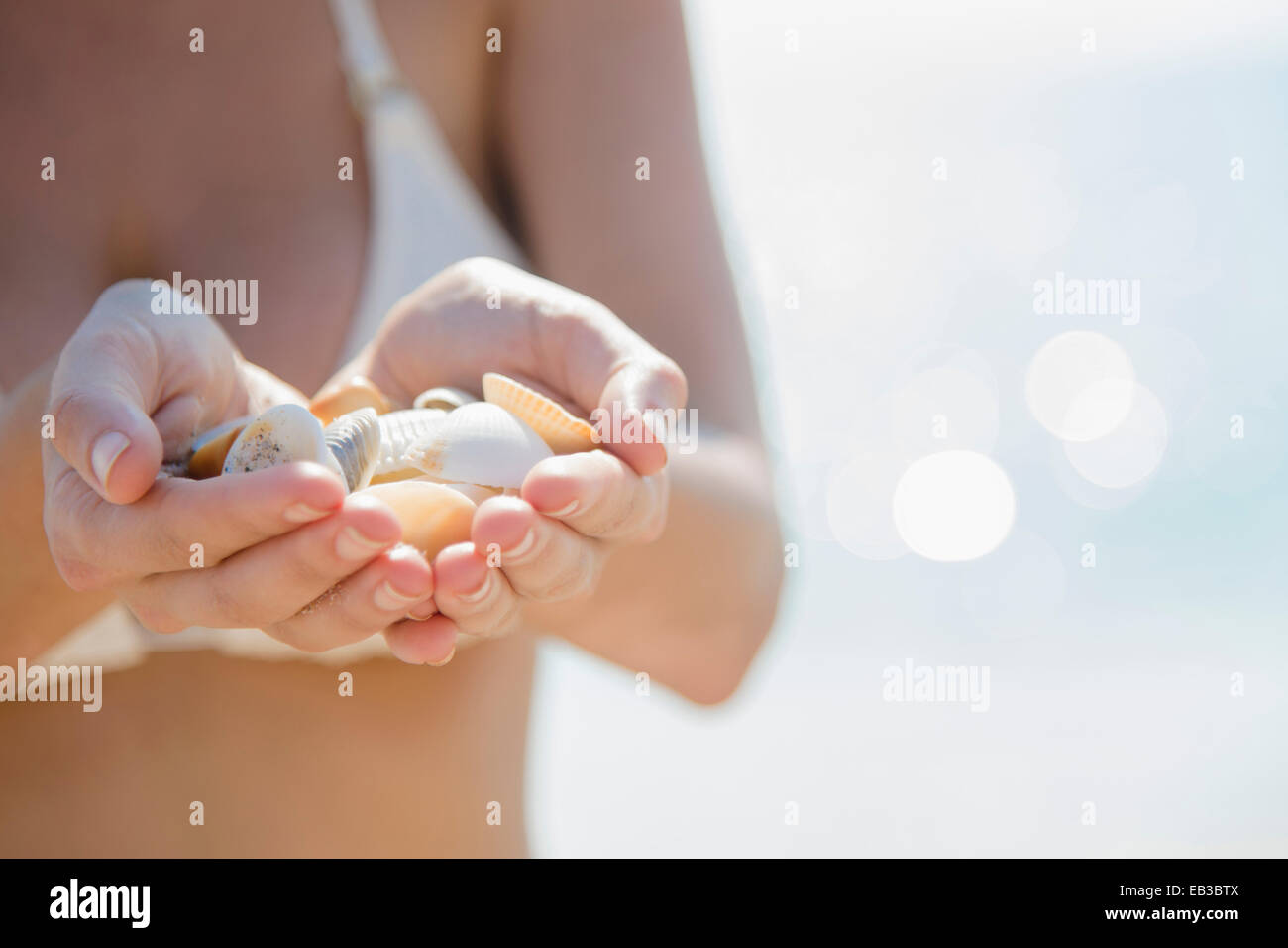 Close up of Caucasian woman holding seashells at beach Stock Photo