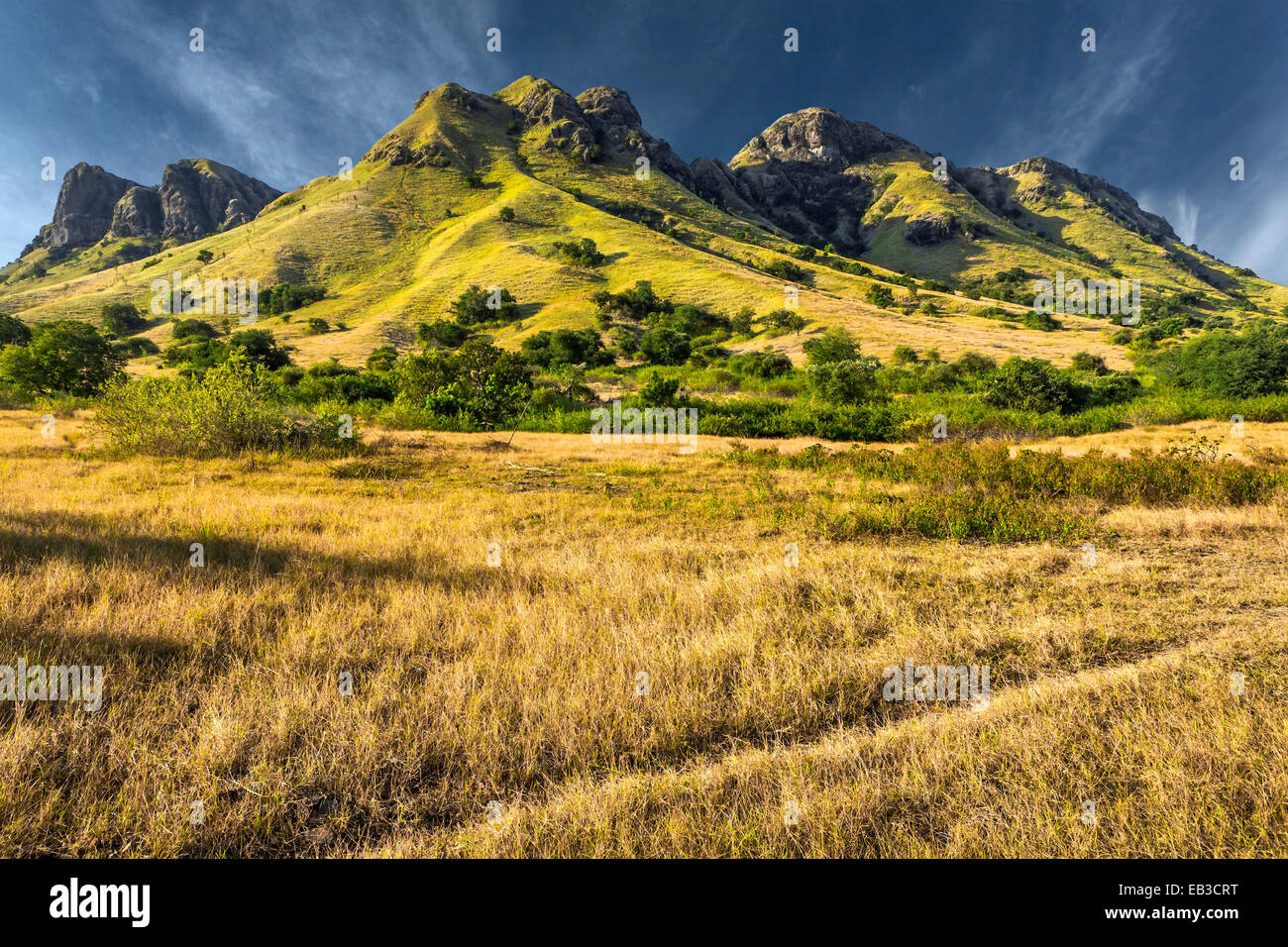 Indonesia, Flores Island, View of mountain from across withered grass of tropical savannah Stock Photo