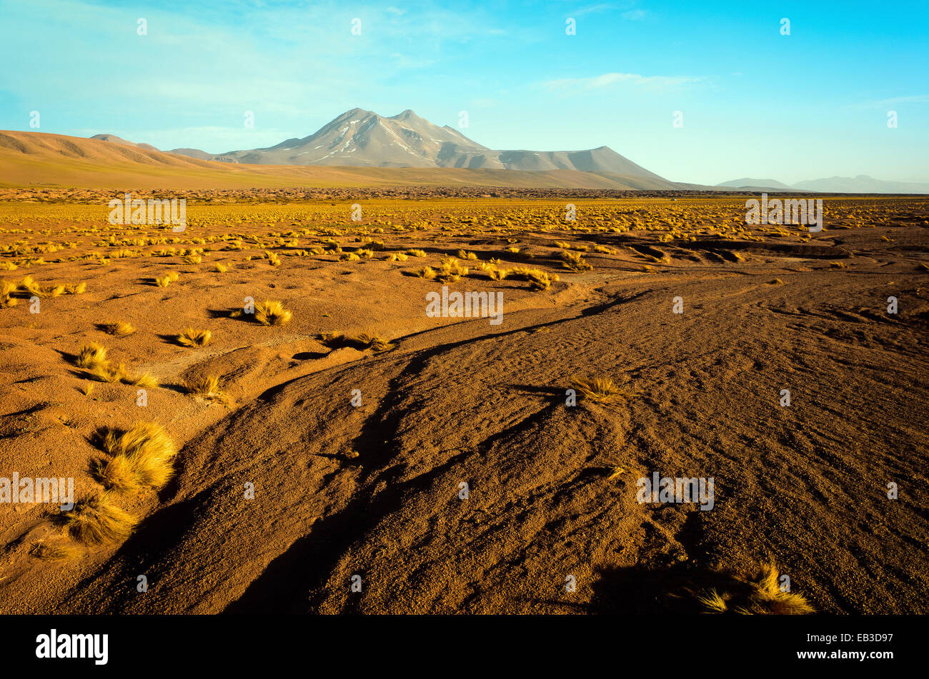 Chile, Atacama desert at sunset Stock Photo